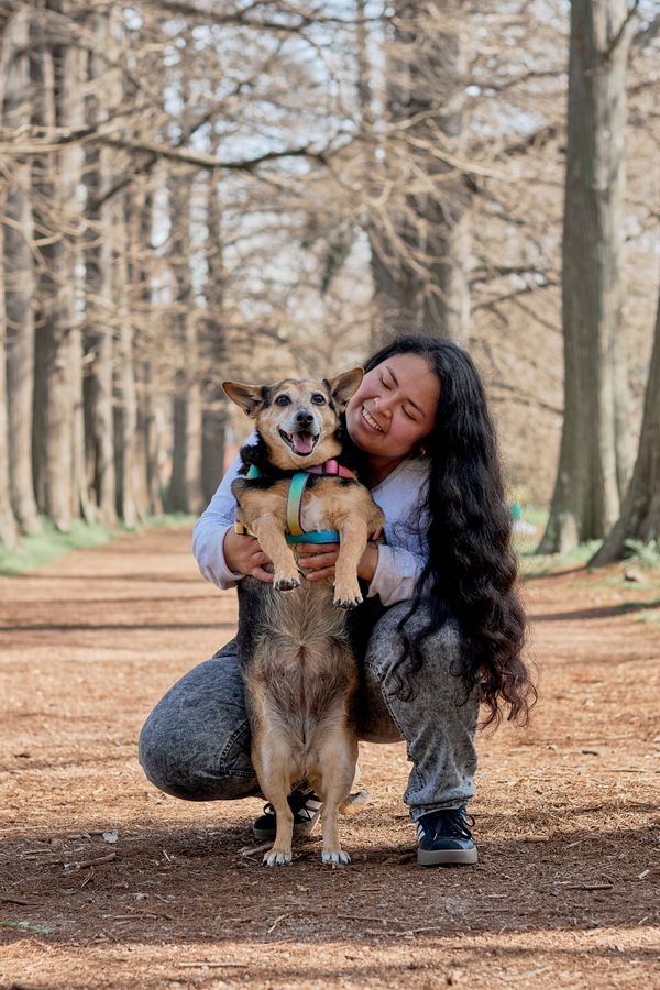 Group Dog Walking Services in Petts Wood
