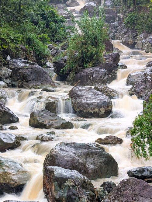 Free Nature scene of a tranquil waterfall flowing over large stones, surrounded by lush greenery in a forest. Stock Photo