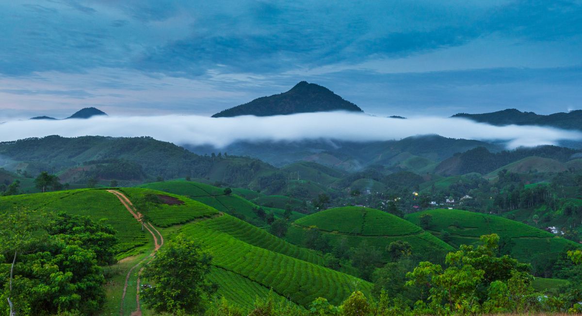 Low Lying clouds in the Mountain · Free Stock Photo