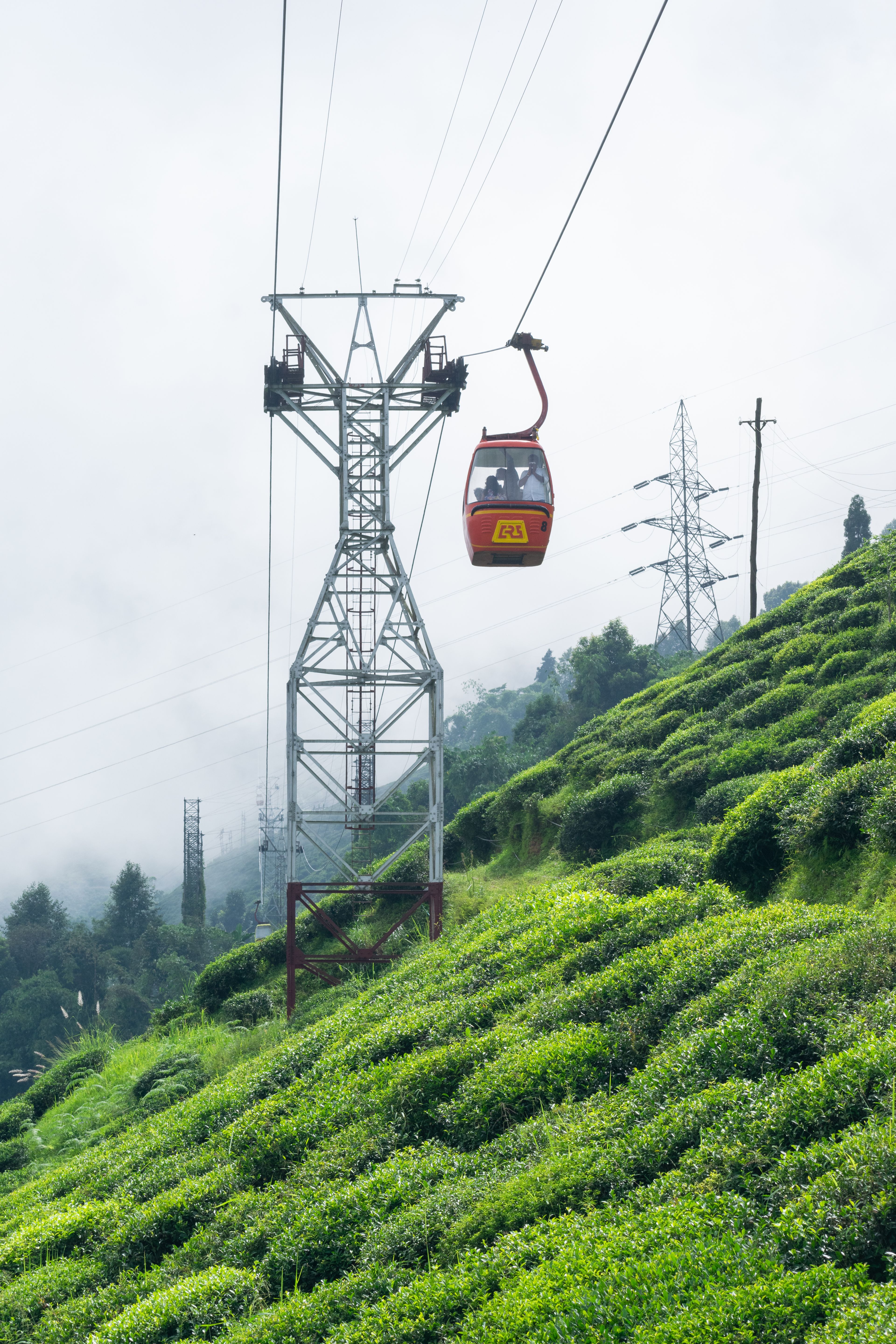 A red cable car passing over green tea gardens in Darjeeling