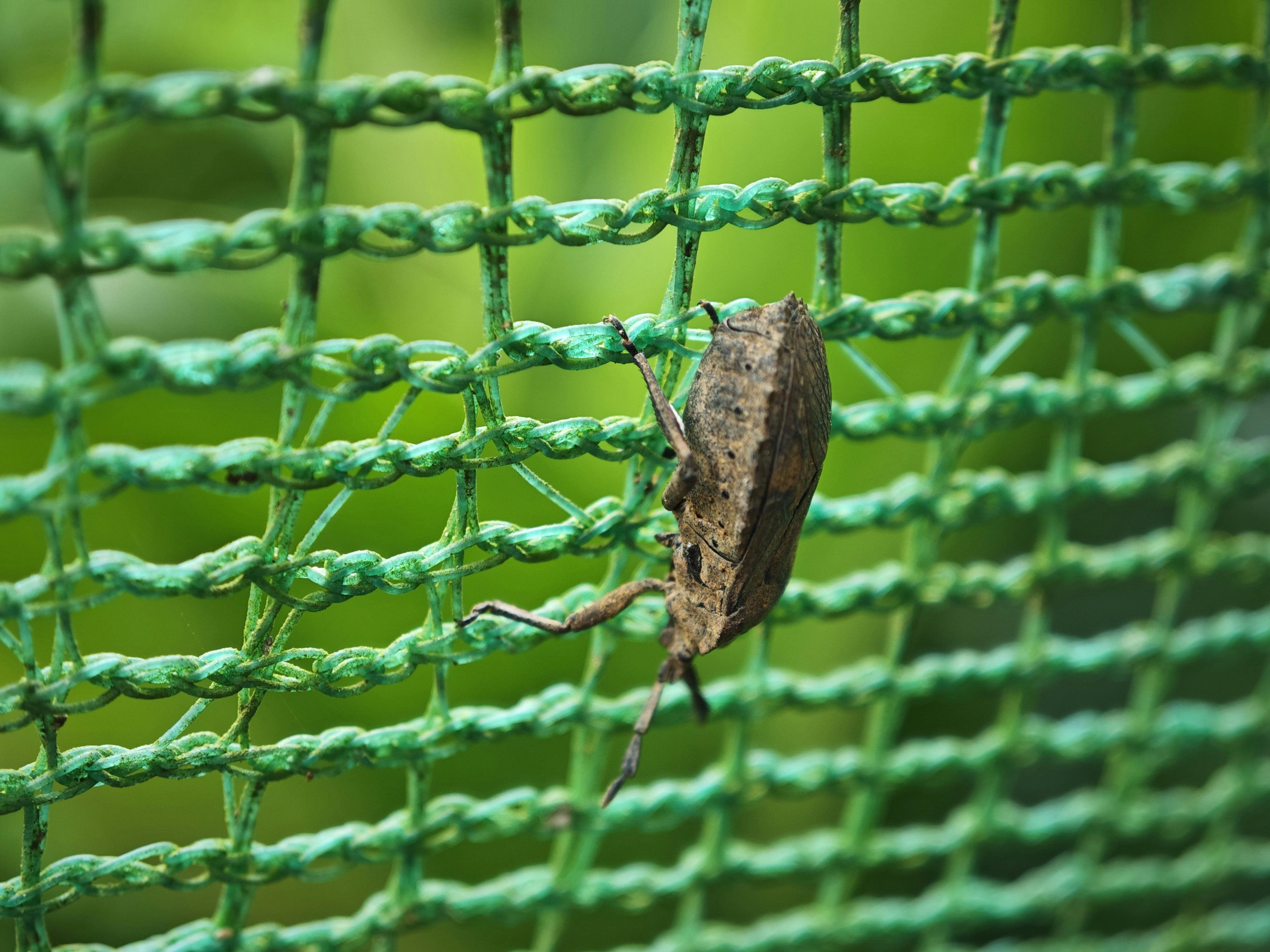 Pro C Sharp 7 With Net And Net Core Pdfdrive 