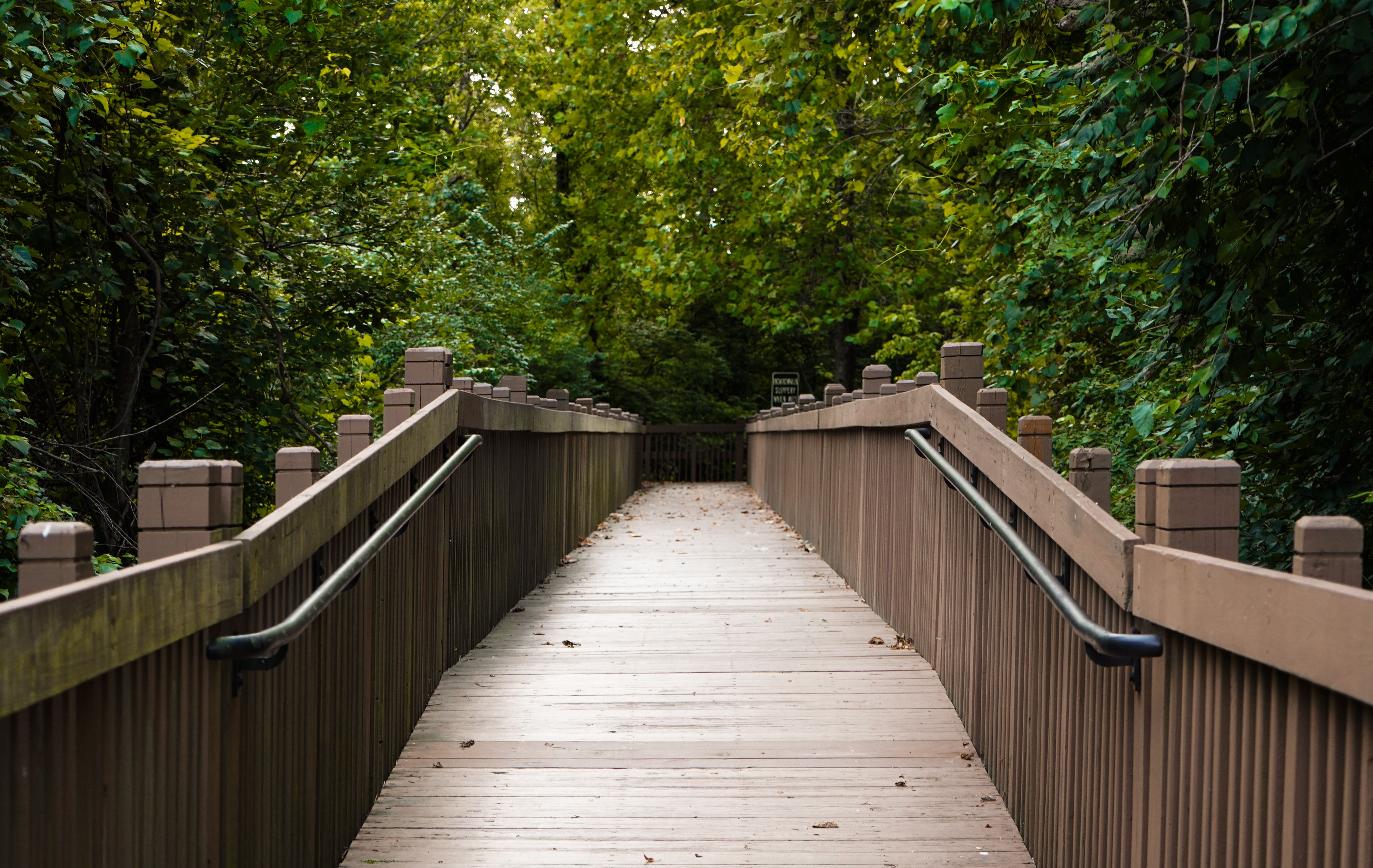 Great Parks of Hamilton County host annual kids outdoor adventure expo - FOX19 — Photo by Hande Yavuz on Pexels