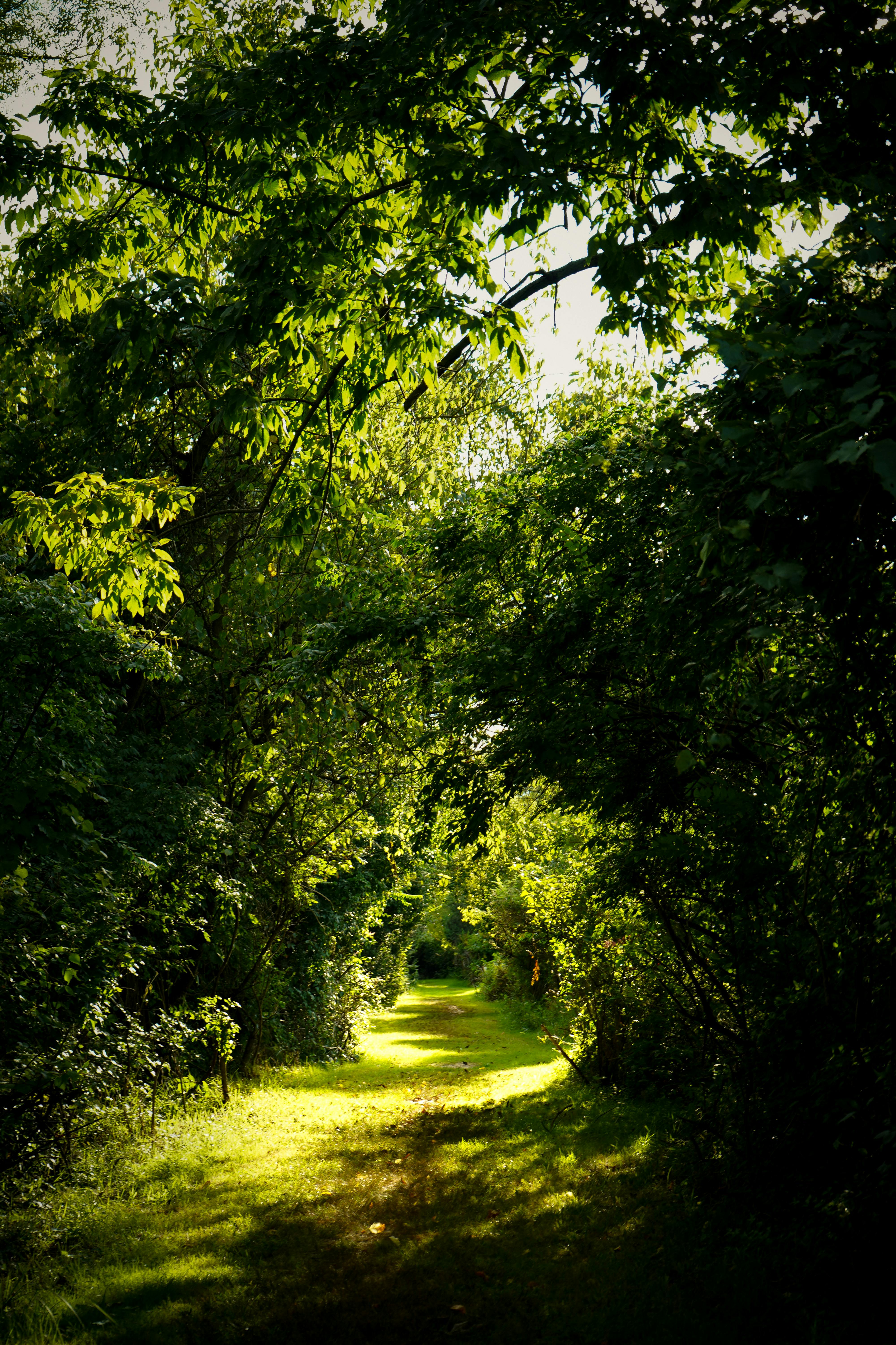 2025東眼山 回森林家 開幕倒數 森感生活與療癒市集等你來體驗