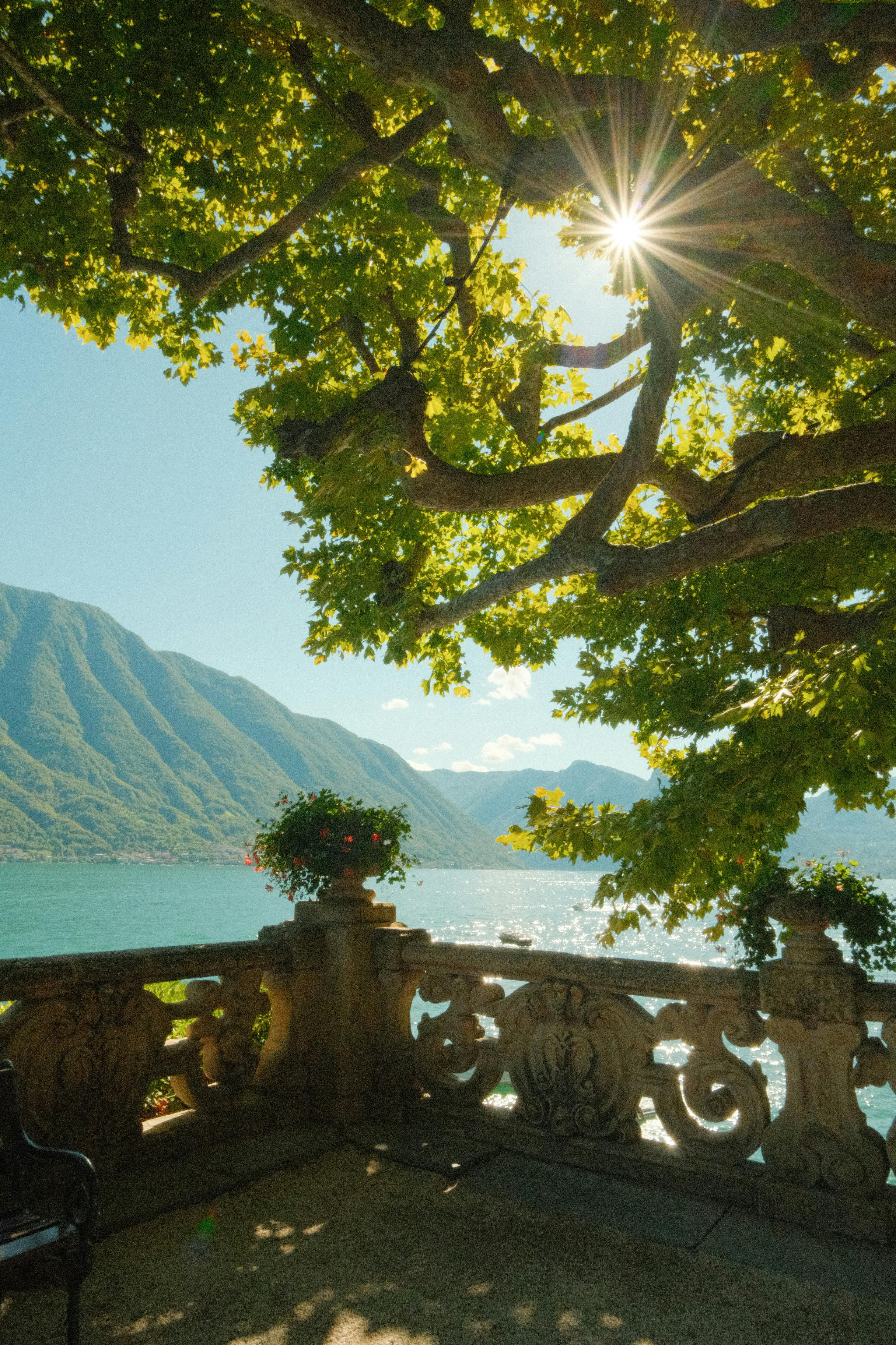 Terrazza soleggiata con vista sul Lago di Como e vegetazione