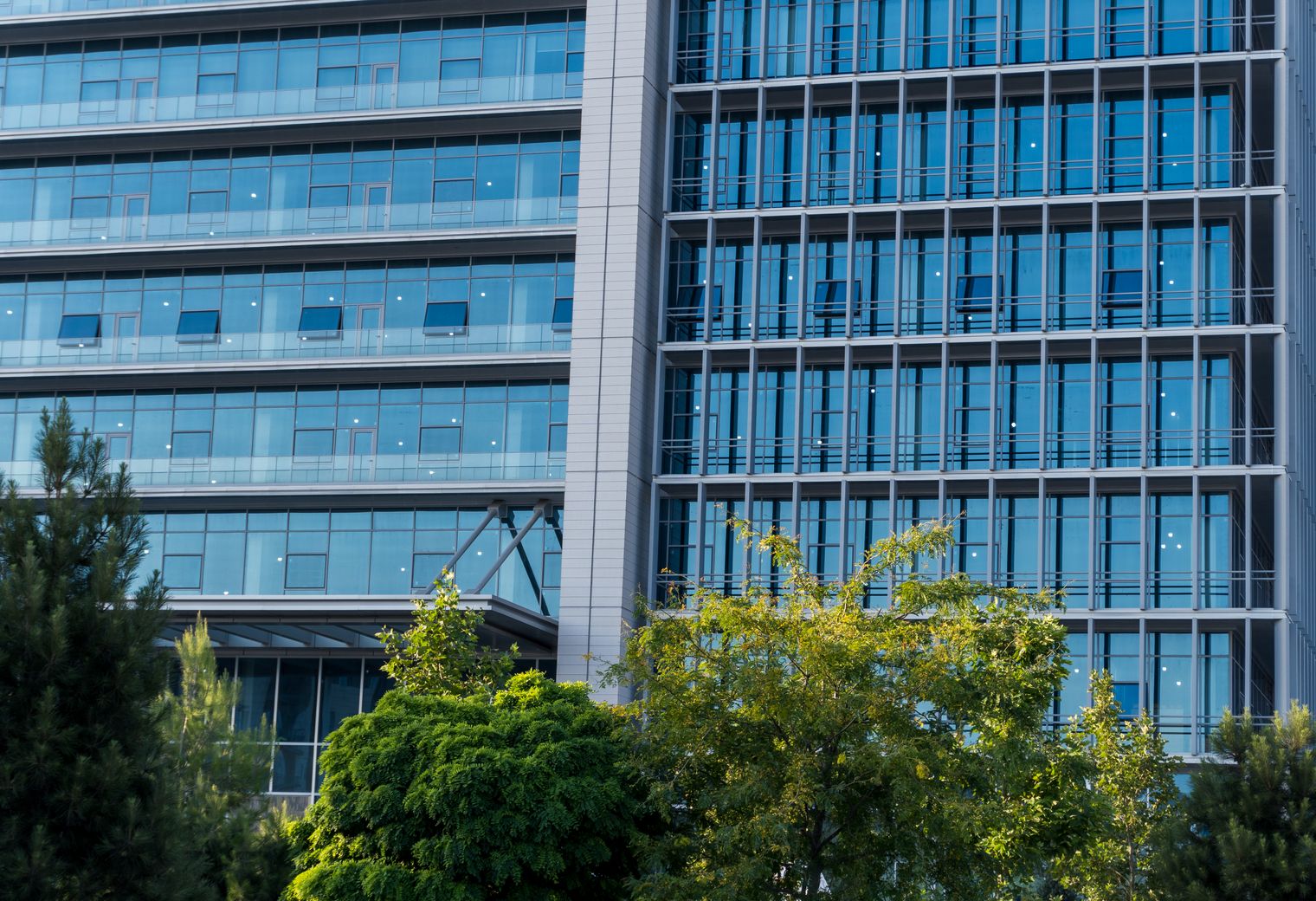 Sapcote — office relocation team moving desks and equipment