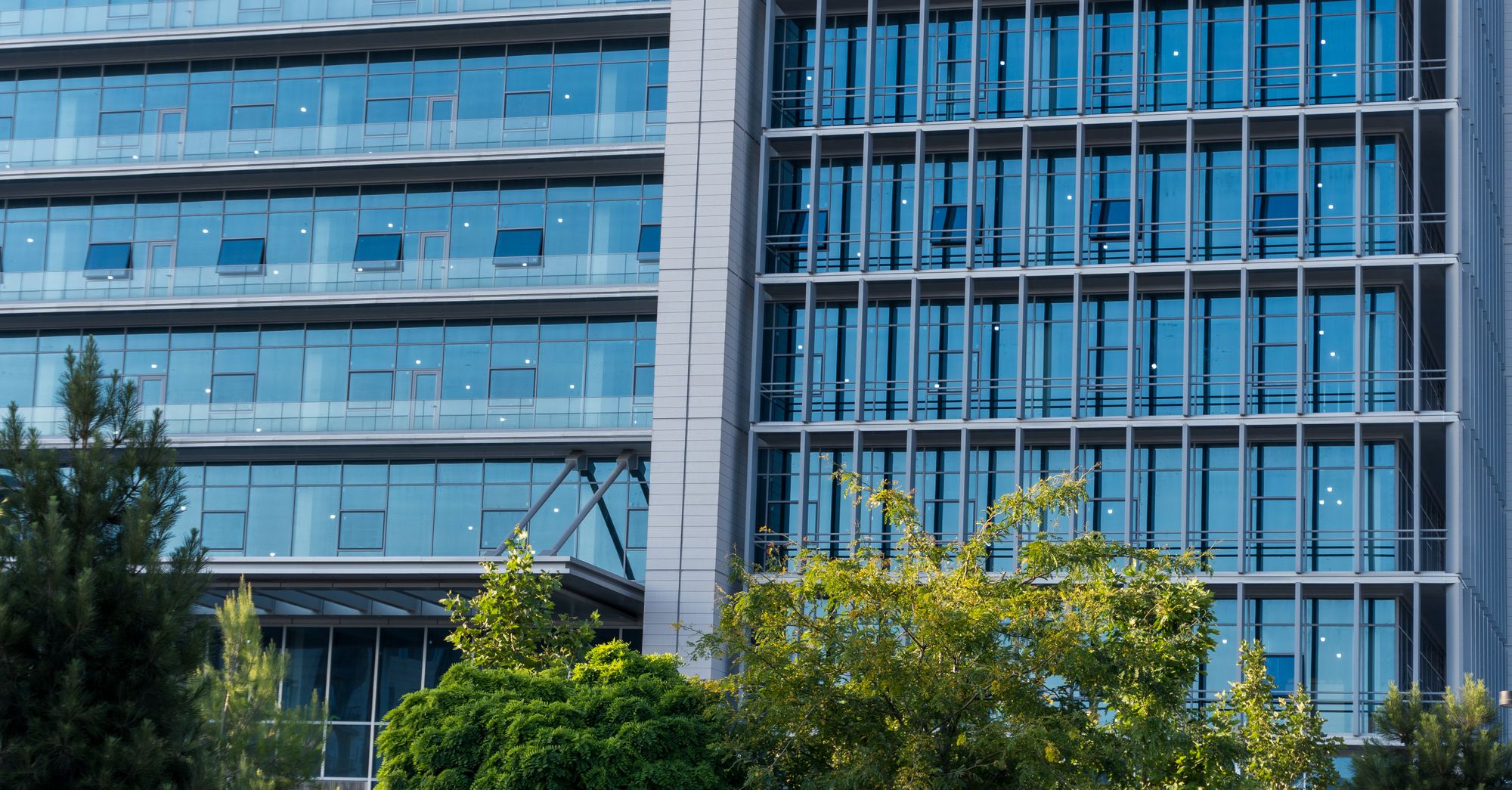 Iren, Nebius Lead Small-Cap Stock Rally Through 2027
