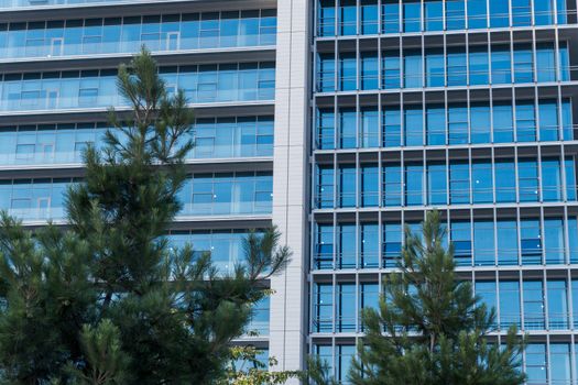 Top Corporate Sustainability Consulting Firms