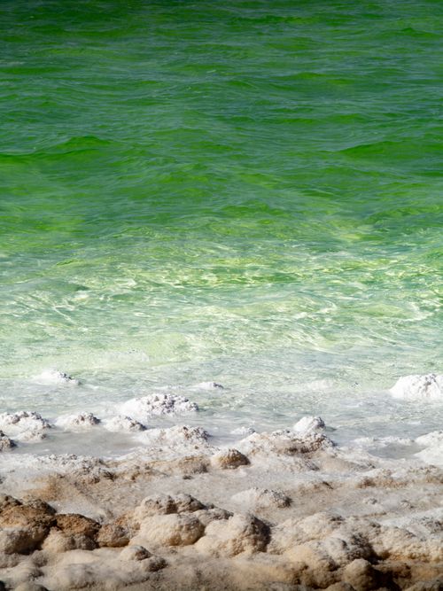 Free Bright green water with crystalline salt formations along a rocky shore. Stock Photo