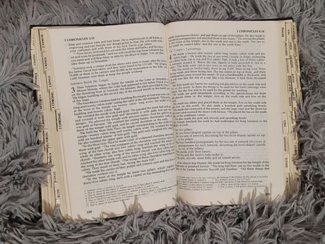 The Vintage Fashion Bible by Emma Baxter-Wright — gift idea
