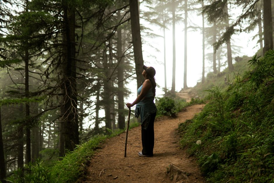 On Trails is a wandering tale that blends hiking, science, and history