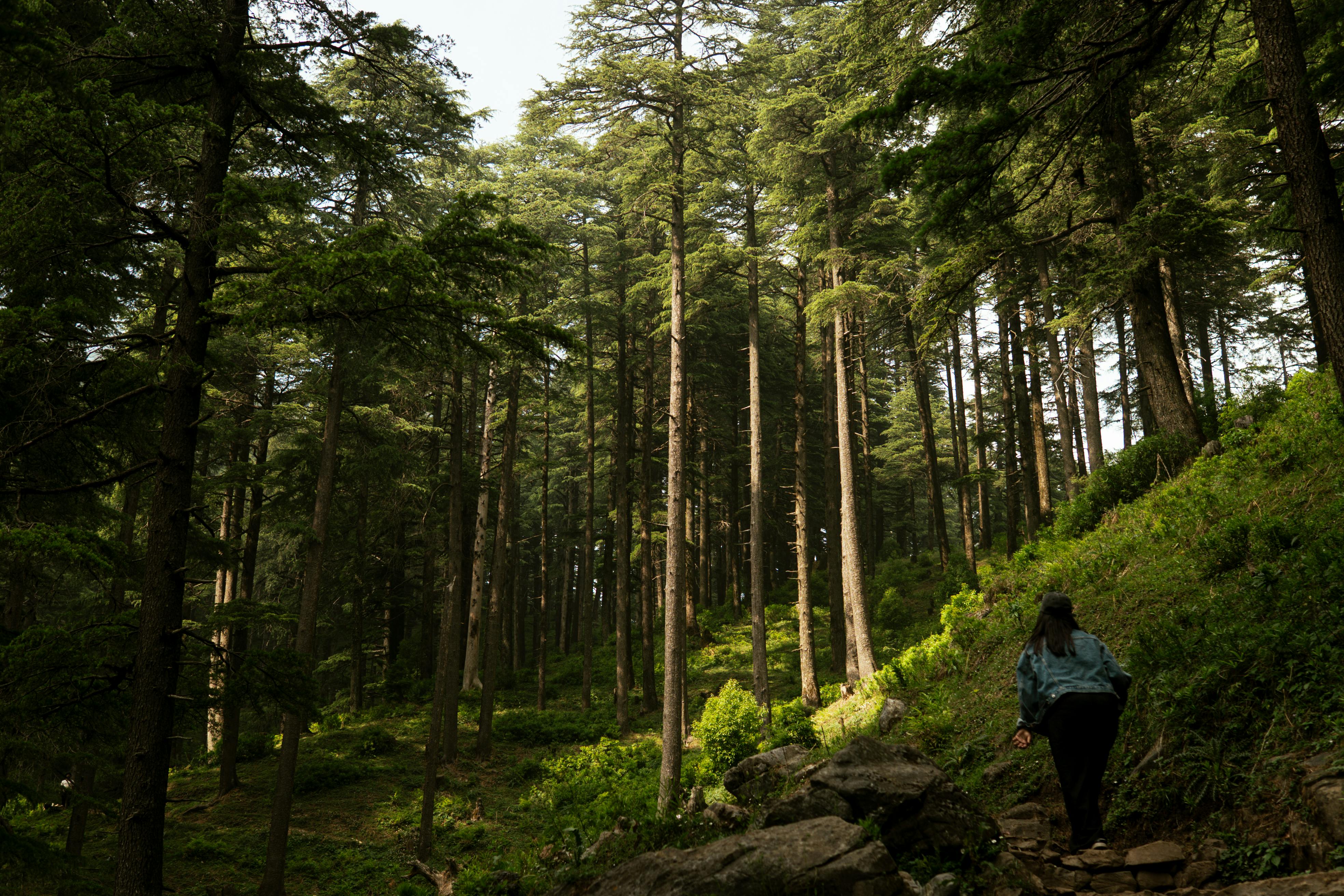 Cedars-Sinai Event Explores Ethics of Longevity Science | Newswise — Photo by Golden Jojo on Pexels