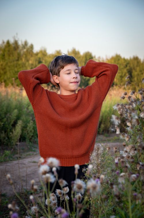 Free A young boy in a rust sweater enjoying a peaceful moment in a natural field setting. Stock Photo