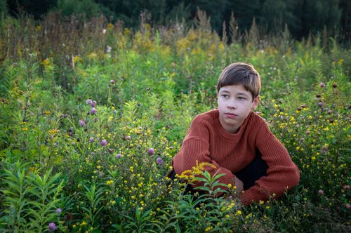 Free A young boy in an orange sweater sits thoughtfully among wildflowers in a lush autumn meadow. Stock Photo