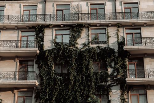 Free Elegant facade of a modern building in Baku, Azerbaijan, adorned with lush green ivy. Stock Photo