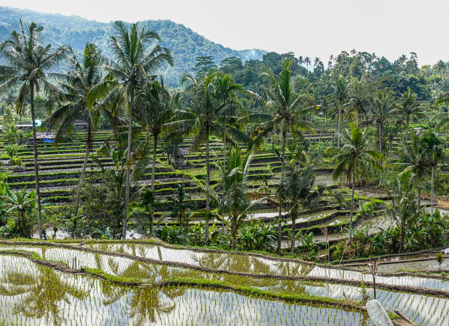 Bali — day 3