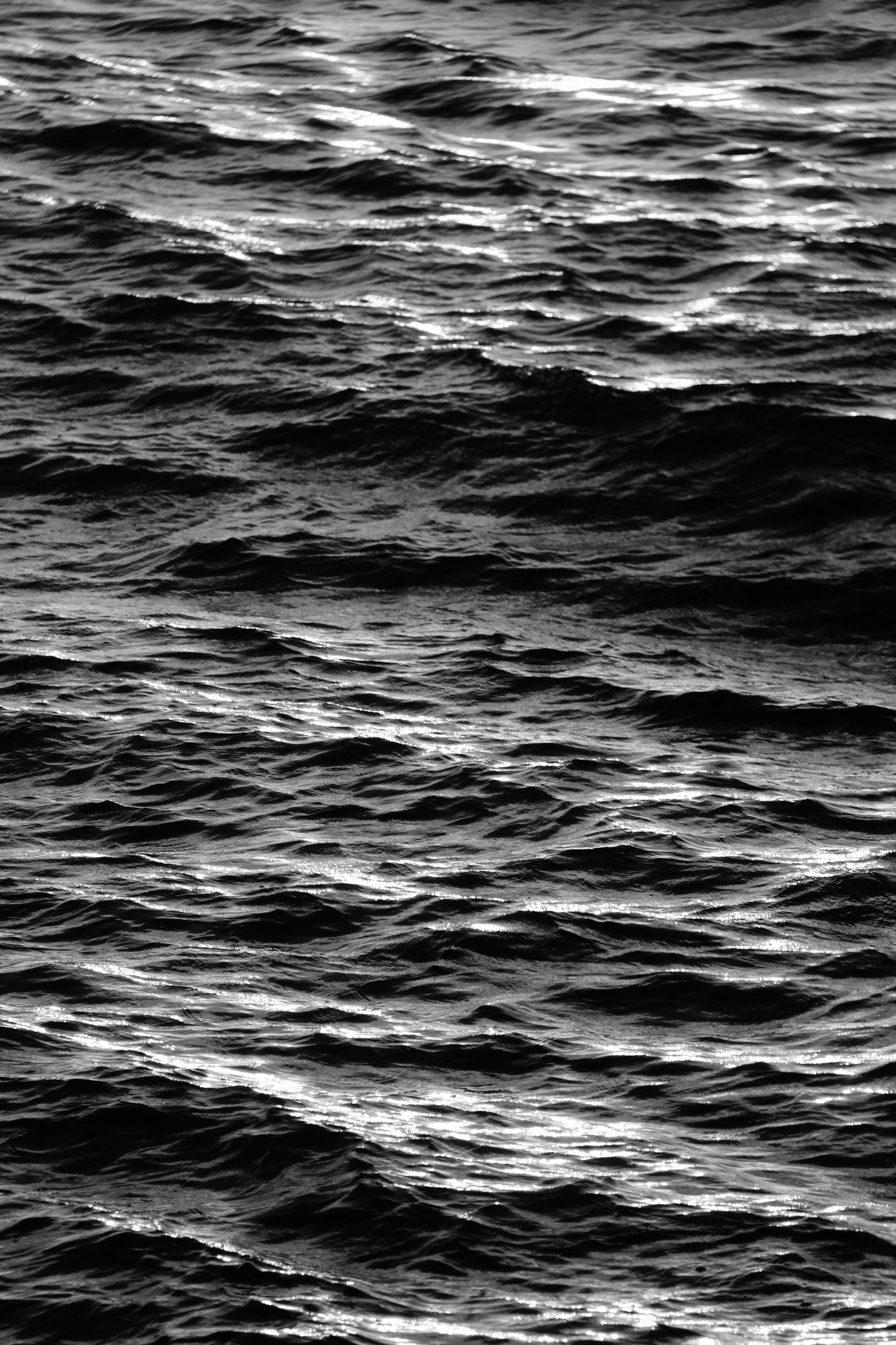 Black And White Sea Waves Ocean Photos, Download The BEST Free Black ...