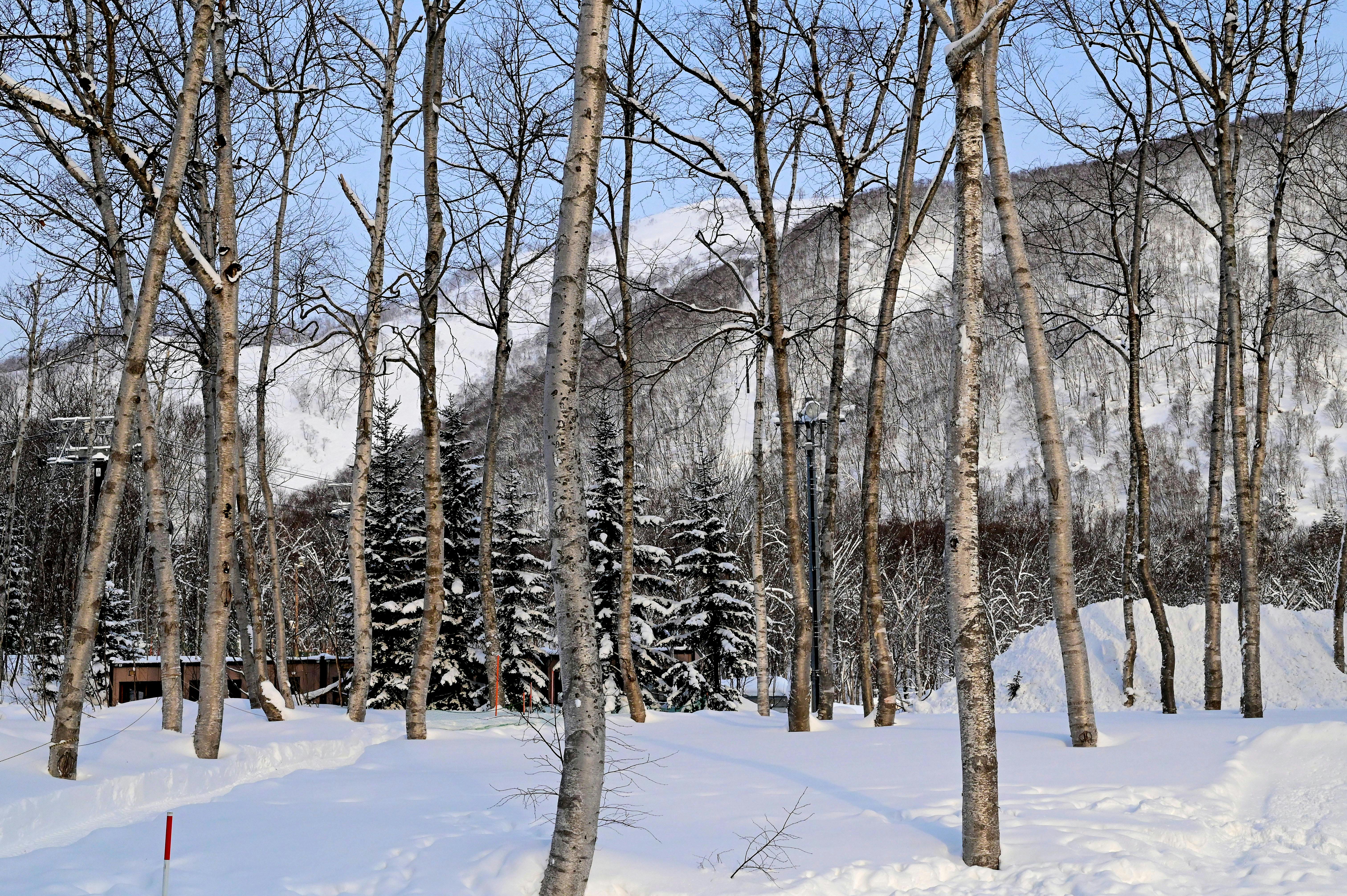 台灣彩券2月盈餘破47億！🎉💰