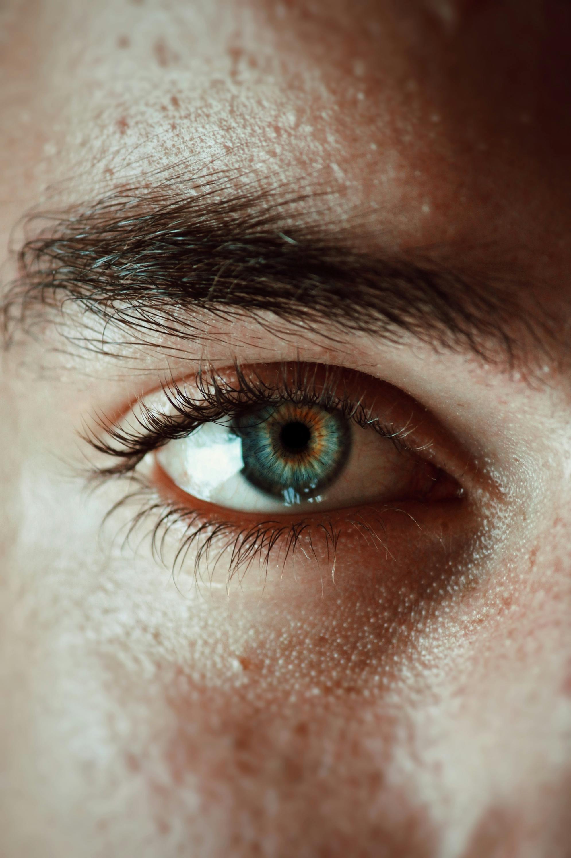Close Up of Human Eye \u00b7 Free Stock Photo