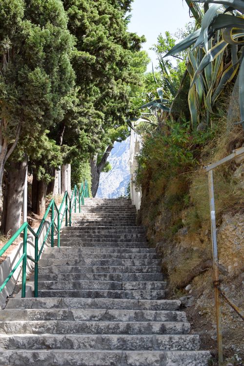Free A scenic stone stairway ascending through lush greenery and rugged terrain. Stock Photo