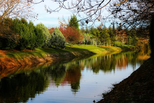 Peak Foliage Dates Shift Across U.S. Regions This Fall
