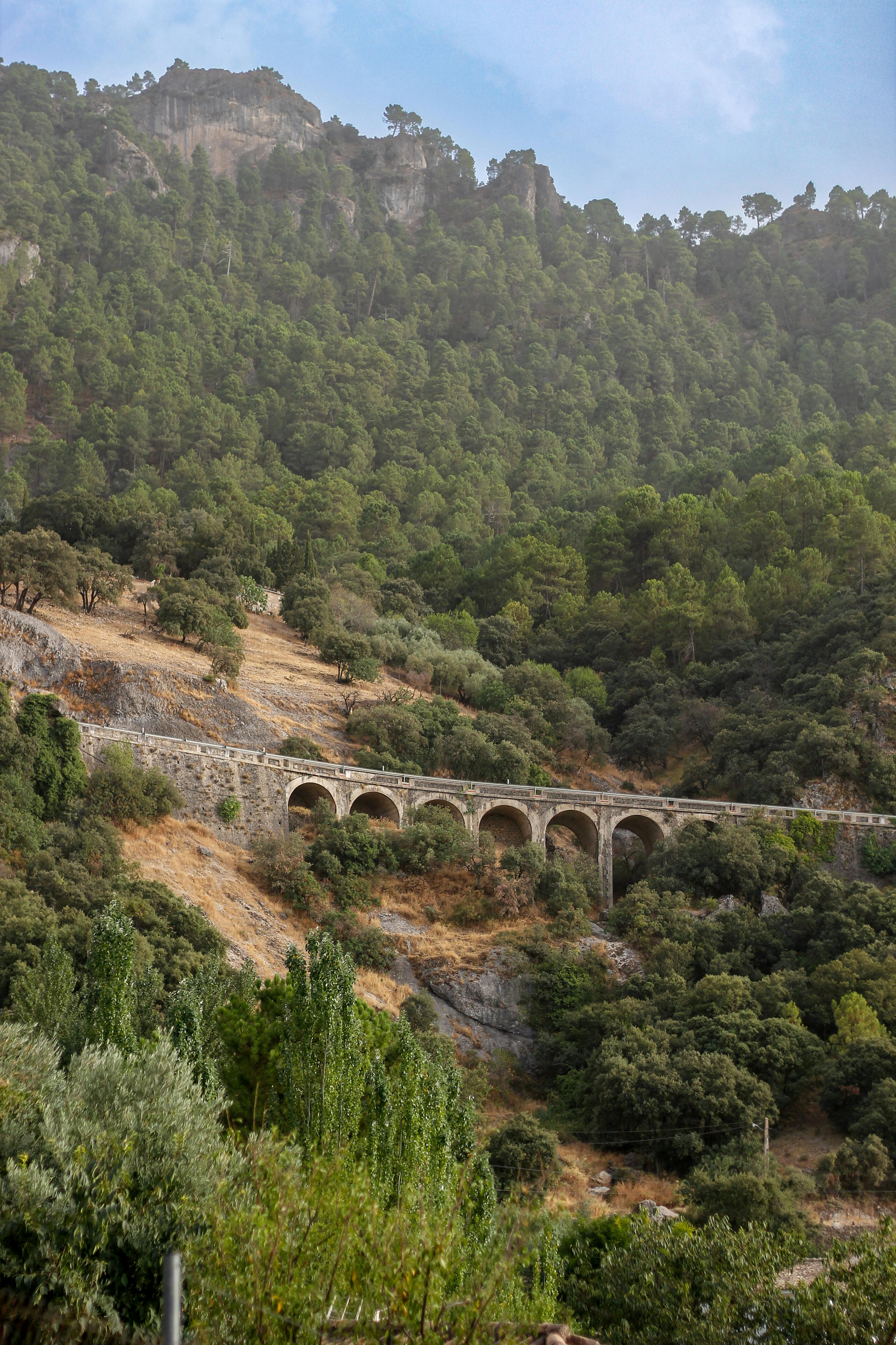 Atención si tienes la memoria llena con fotos de WhatsApp: la aplicación estrena una manera para borrarlas de forma segura