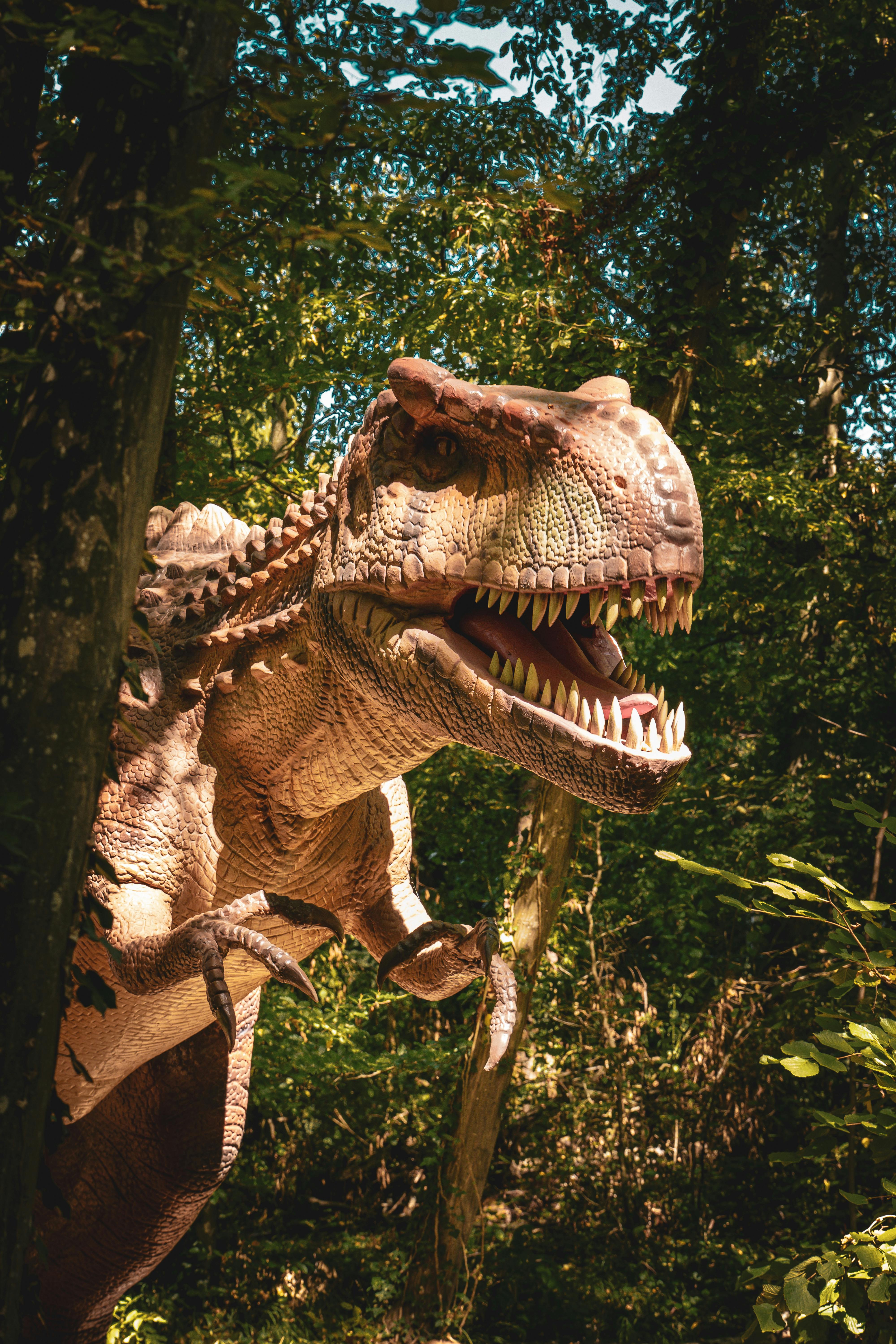 Kostenlos Realistisches Dinosauriermodell inmitten des Waldgrüns, das an prähistorisches Leben erinnert. Stock-Foto