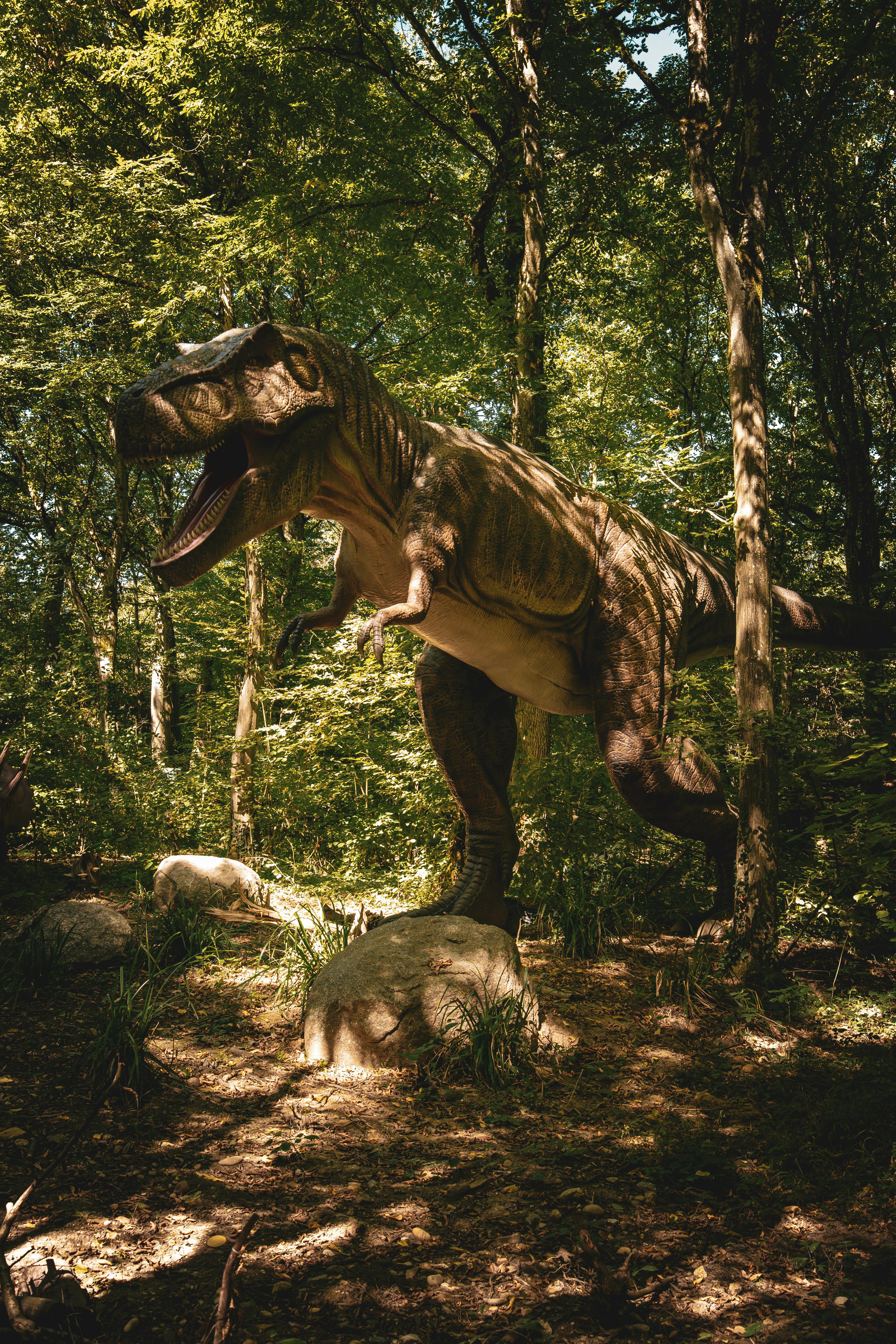 Gratis Modelo De Tyrannosaurus Rex En Un Entorno De Bosque Denso Foto de stock