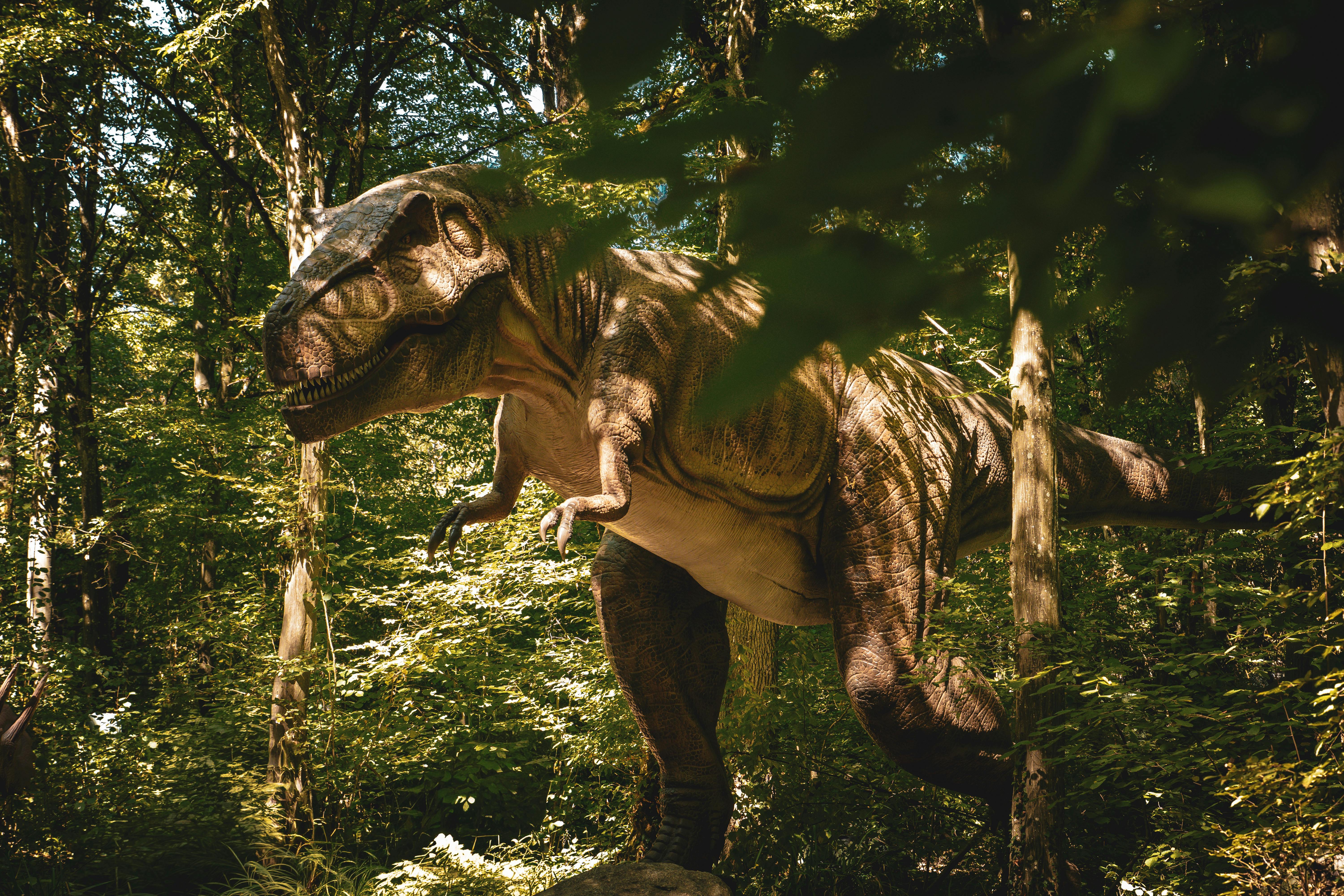 Free Realistic dinosaur sculpture in forest setting, capturing nature's majesty. Stock Photo
