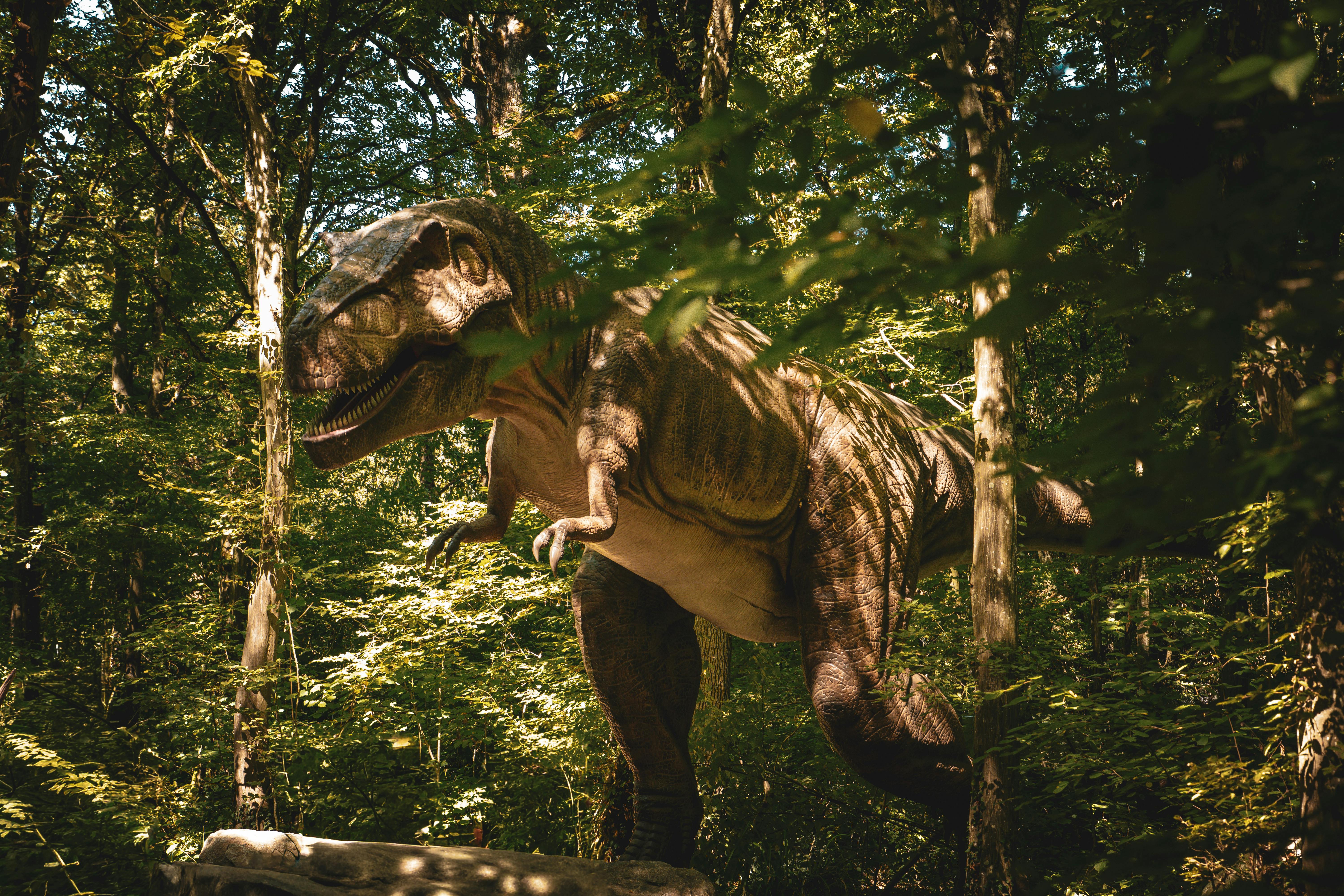 Jurassic dinosaurs had specialized diets to coexist peacefully — Photo by Antonio Mistretta on Pexels