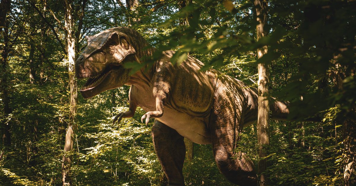 Fossilized T. rex teeth provide strongest evidence of warm-blooded metabolism Fossilized T. rex teeth provide strongest evidence of warm-blooded metabolism