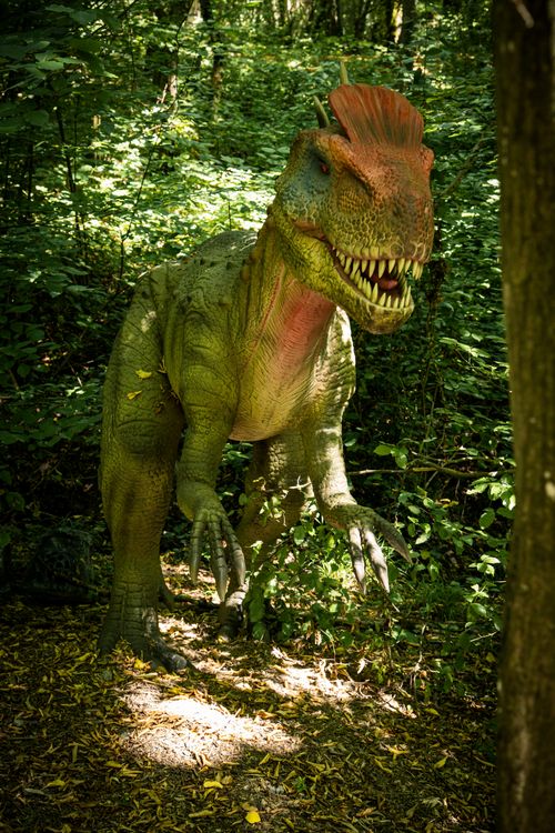 Free Realistic dinosaur sculpture amidst lush green forest Stock Photo