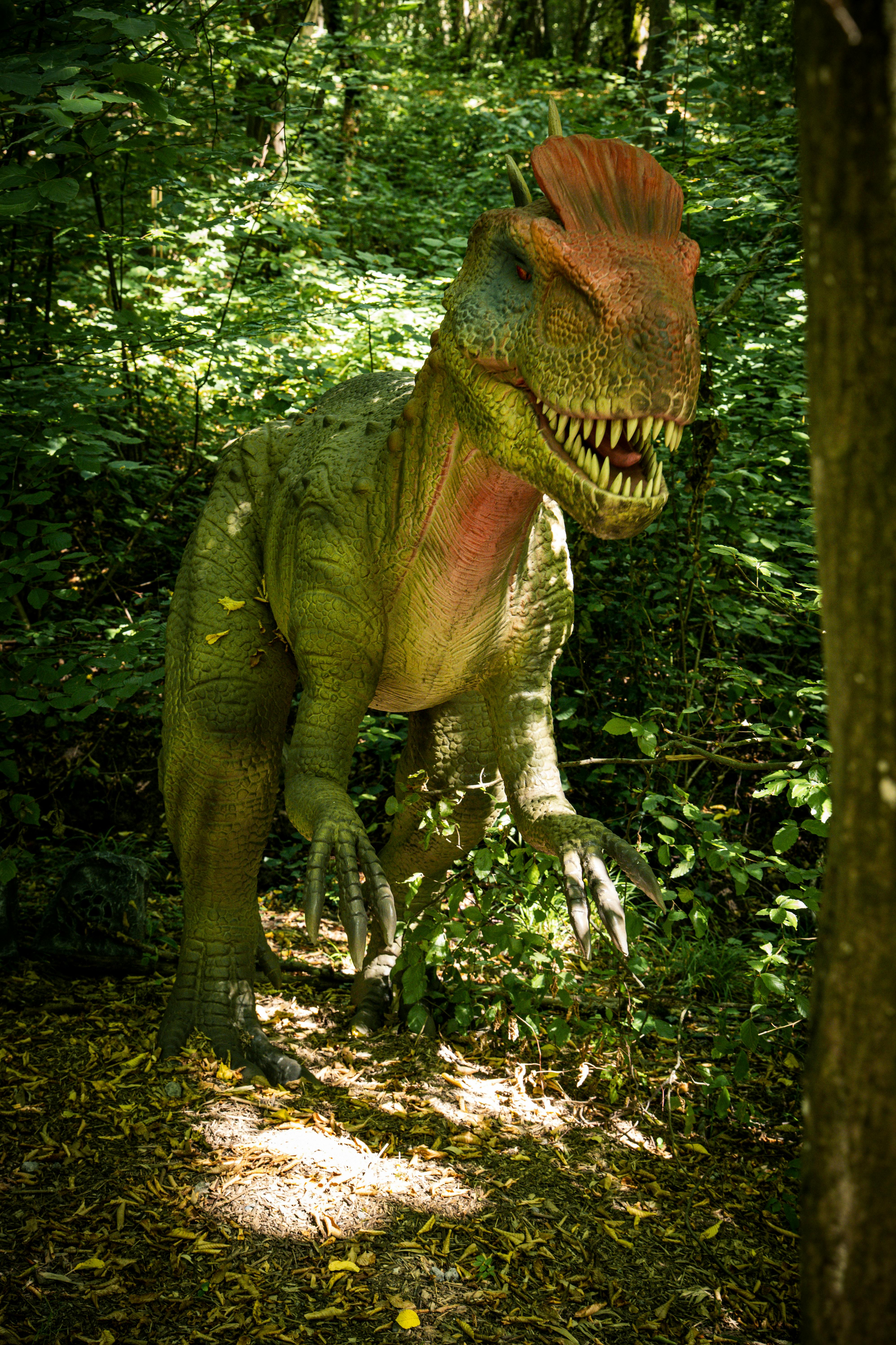 Gratis Patung dinosaurus realistis di tengah hutan hijau yang rimbun Foto Stok