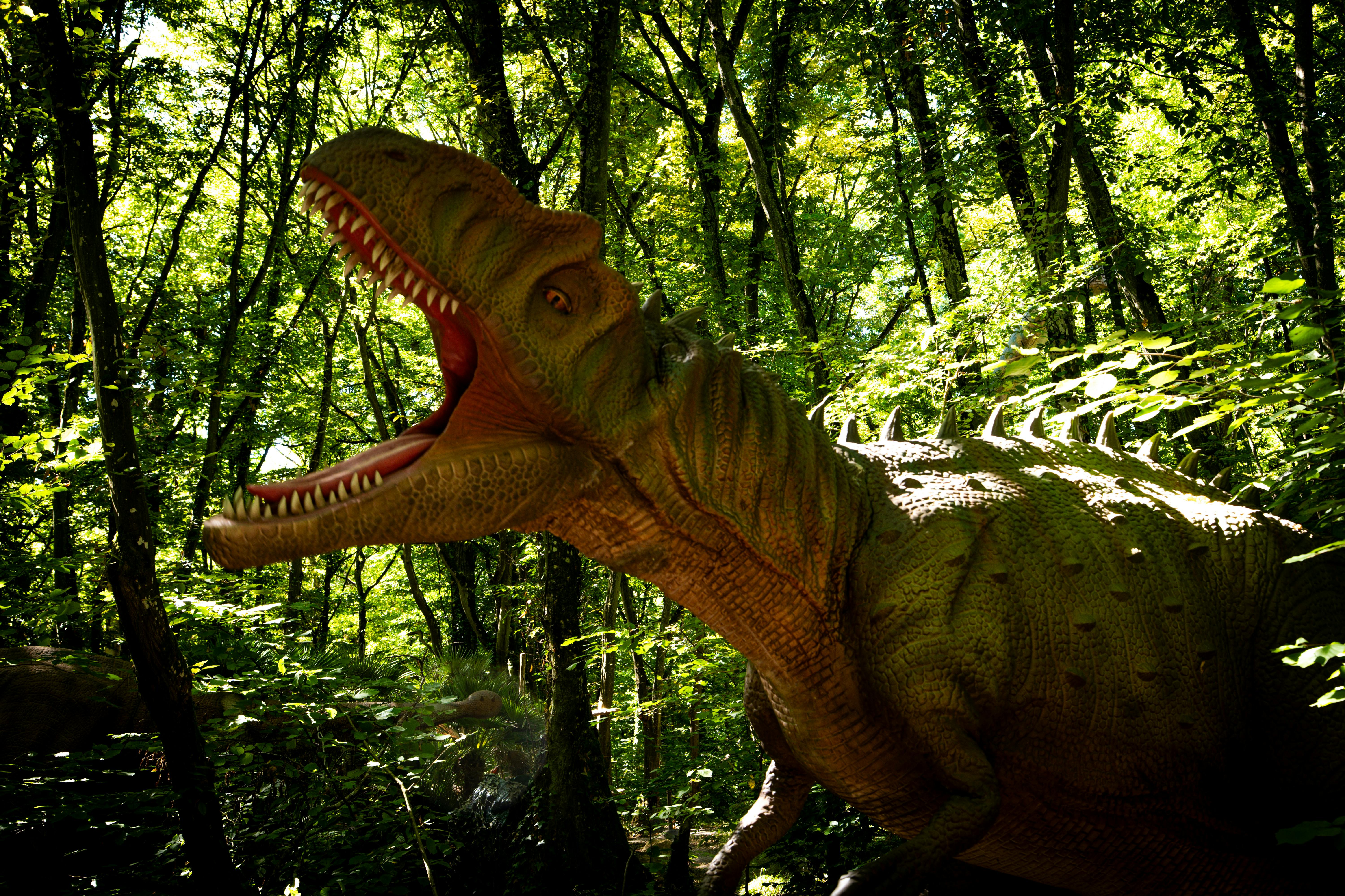 Gratis En naturtro dinosaurmodell brøler i et livlig, solfylt skogsområde. Arkivbilde