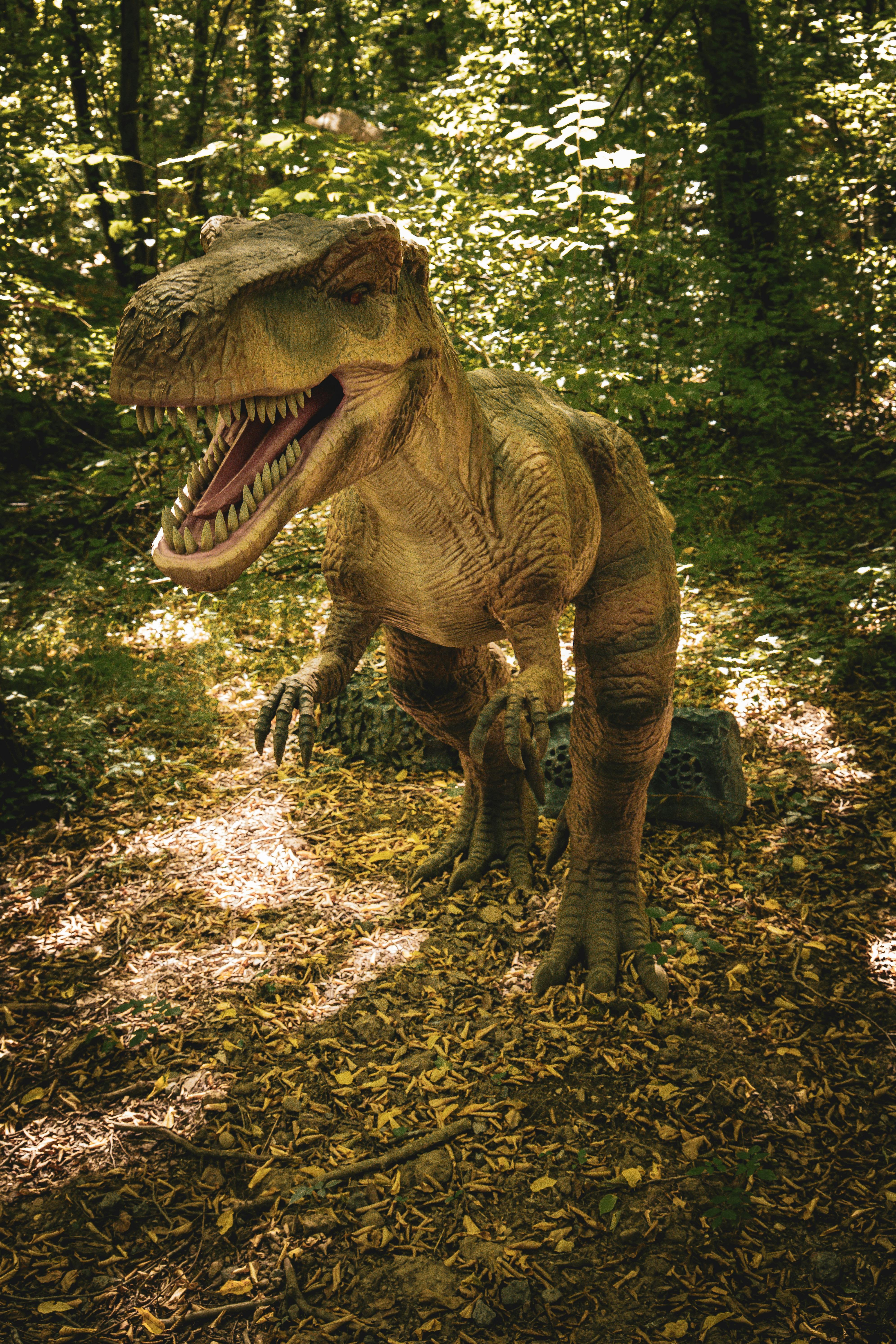 Life-sized T-Rex model in a sunlit prehistoric forest setting.