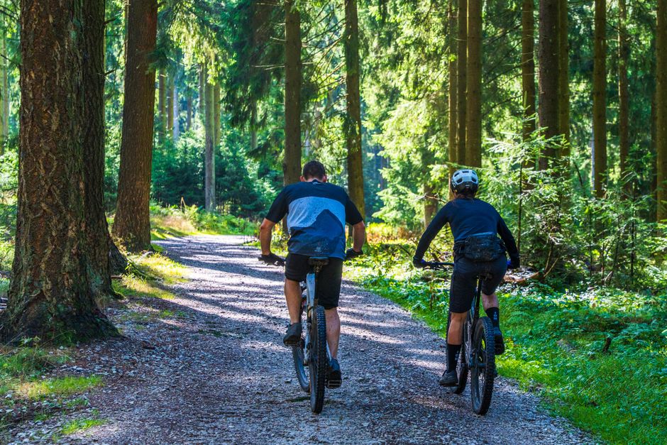 Two cyclists riding mountain bikes along a scenic forest trail on a sunny day.