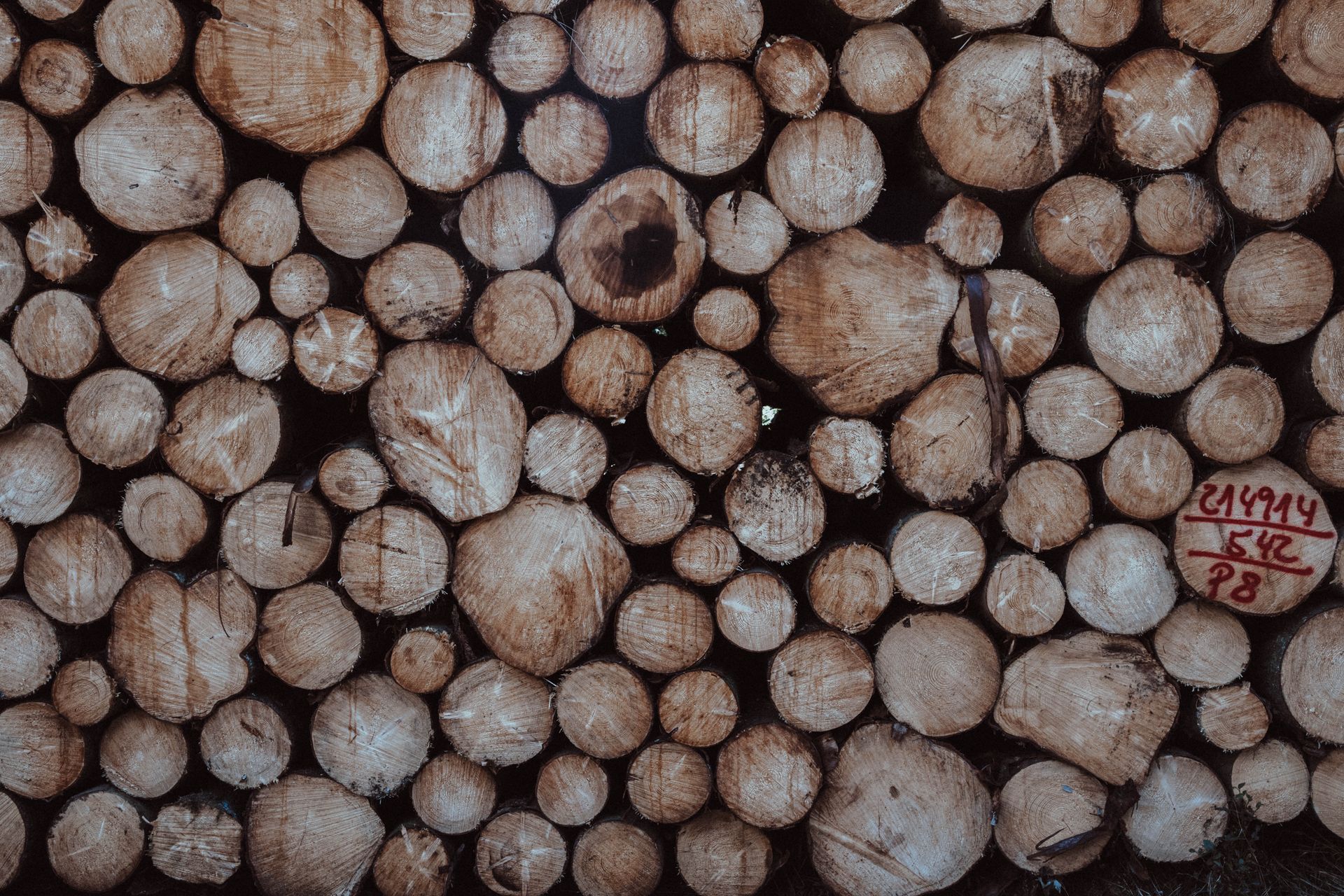 Close-up view of stacked timber logs showcasing natural wood texture and growth rings.