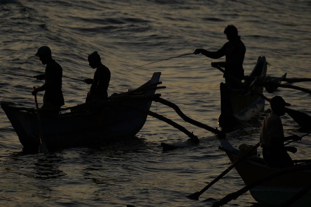 Pescadores cingaleses sobre barcas tradicionales con balancín al amanecer