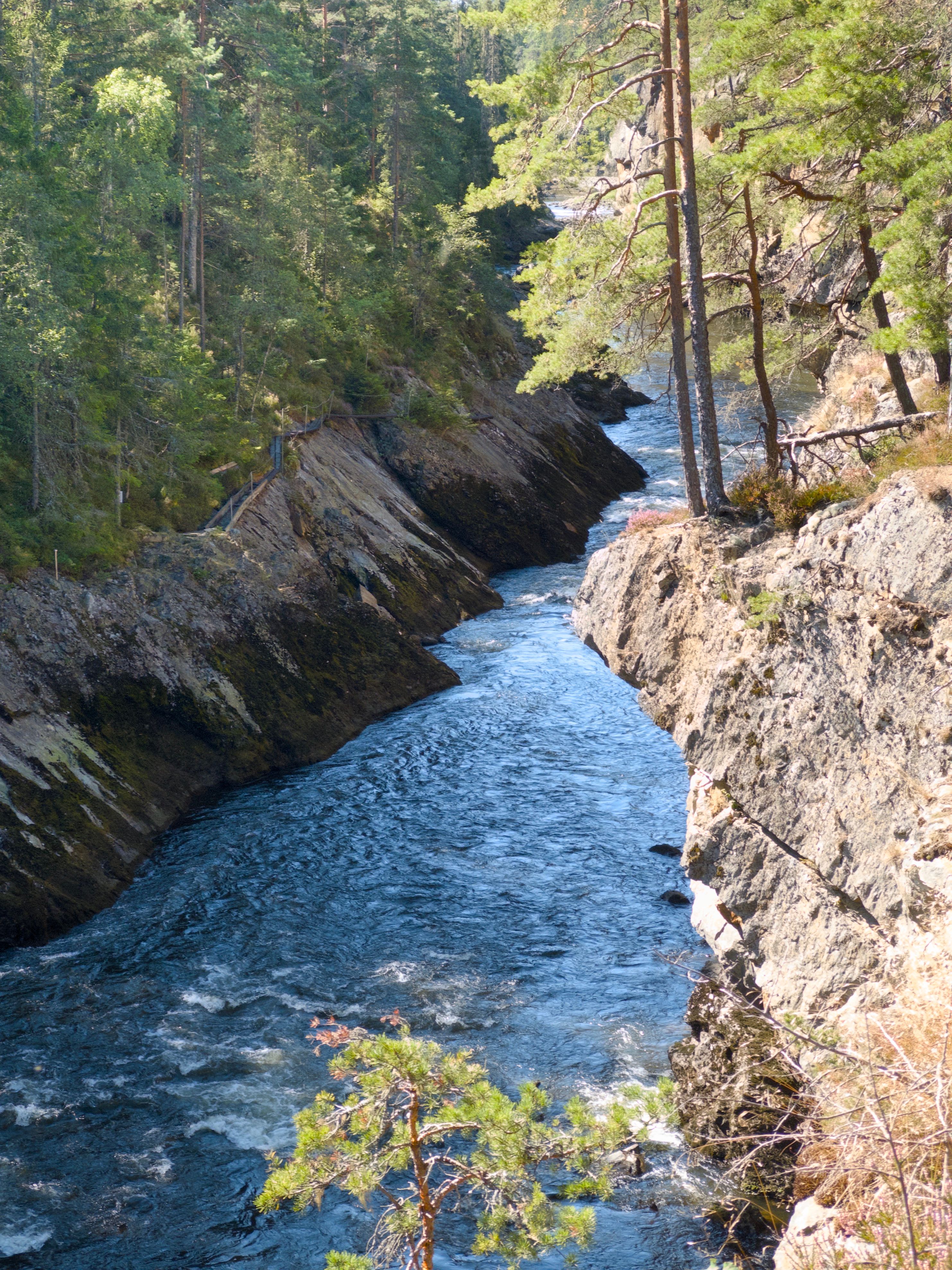 Beautiful river flowing through a lush forest gorge in Østfold, Norway, captured during a sunny summer day.