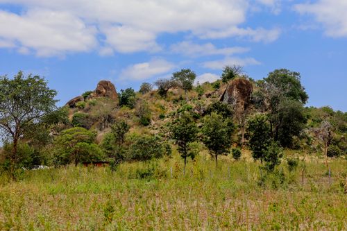 Free A scenic hill covered in lush vegetation under a clear blue sky, perfect for nature lovers. Stock Photo