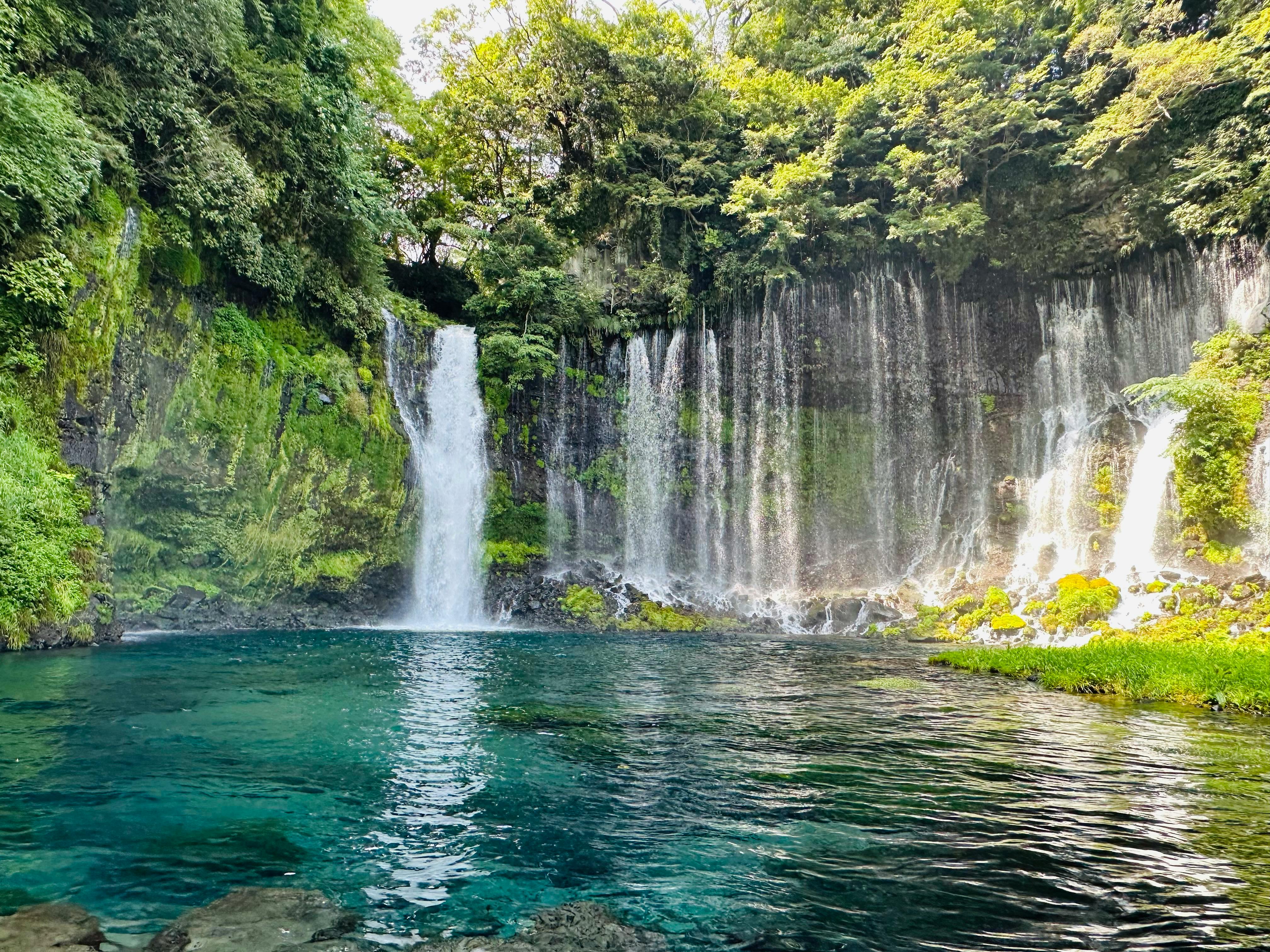 How To Clear A Green Pool FAST