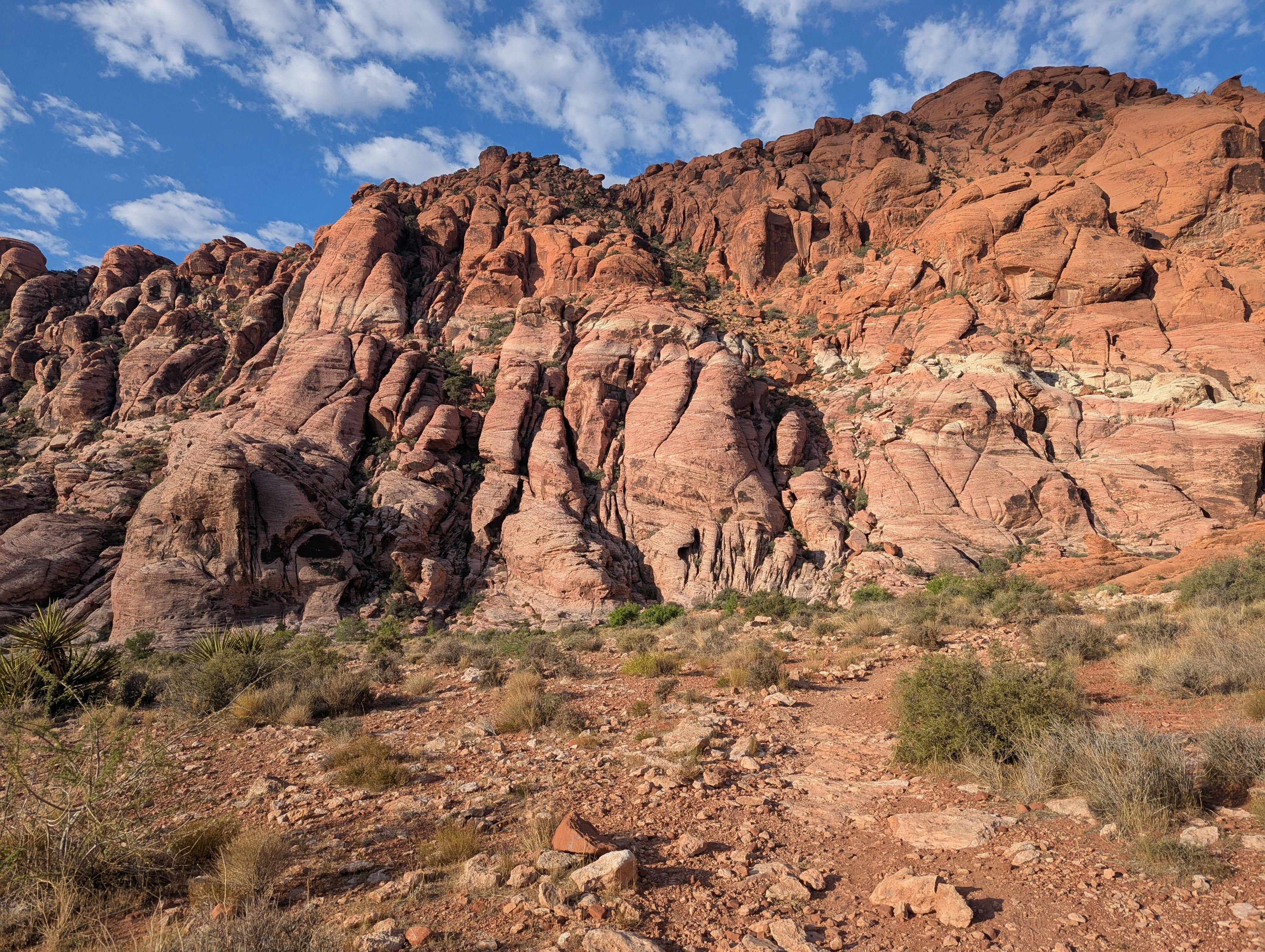 Mojave Çölü'nde volkanik kayalardan oluşmuş kanyon