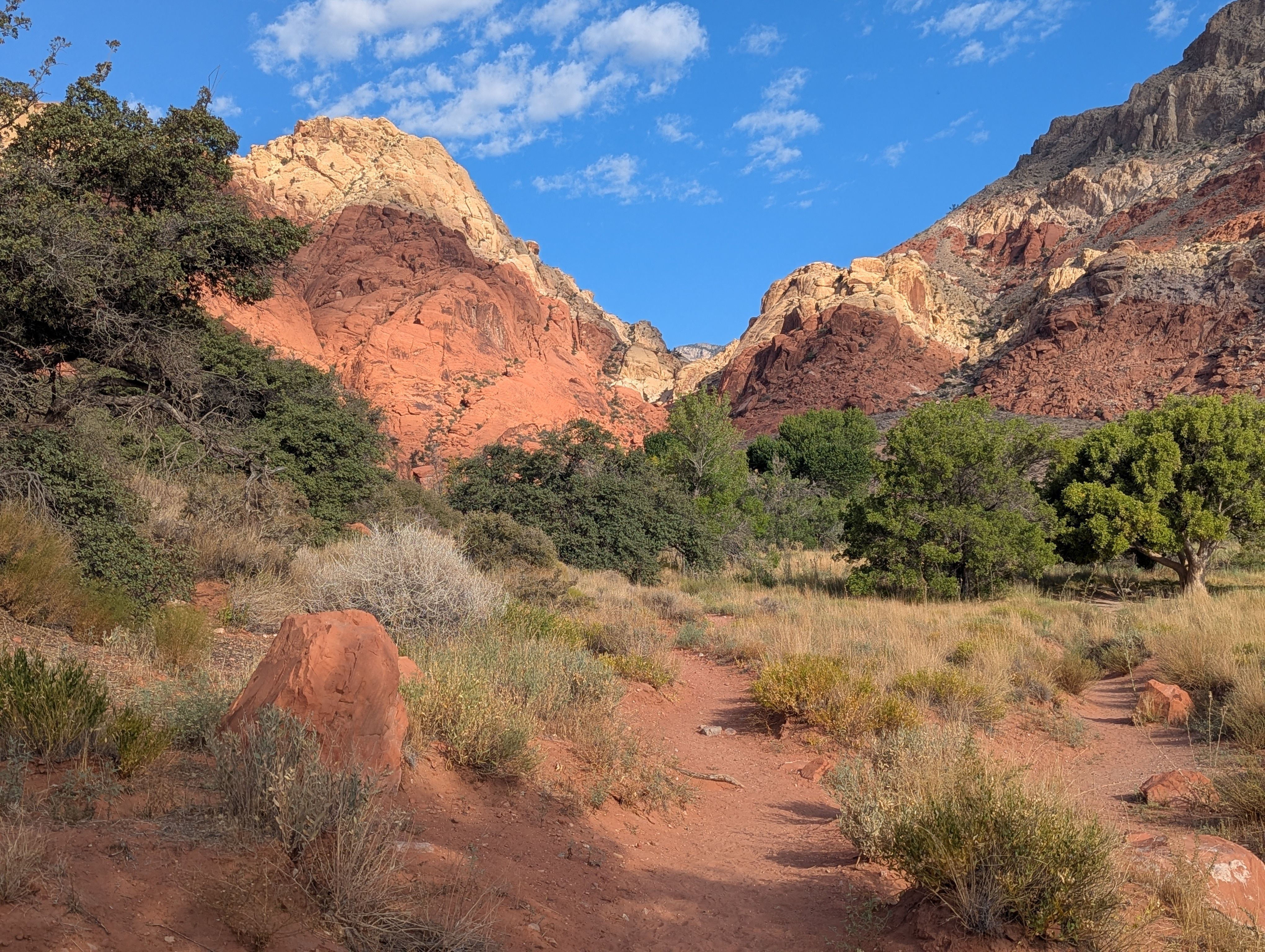 Sandstone escarpment at Red Rock Canyon National Conservation Area