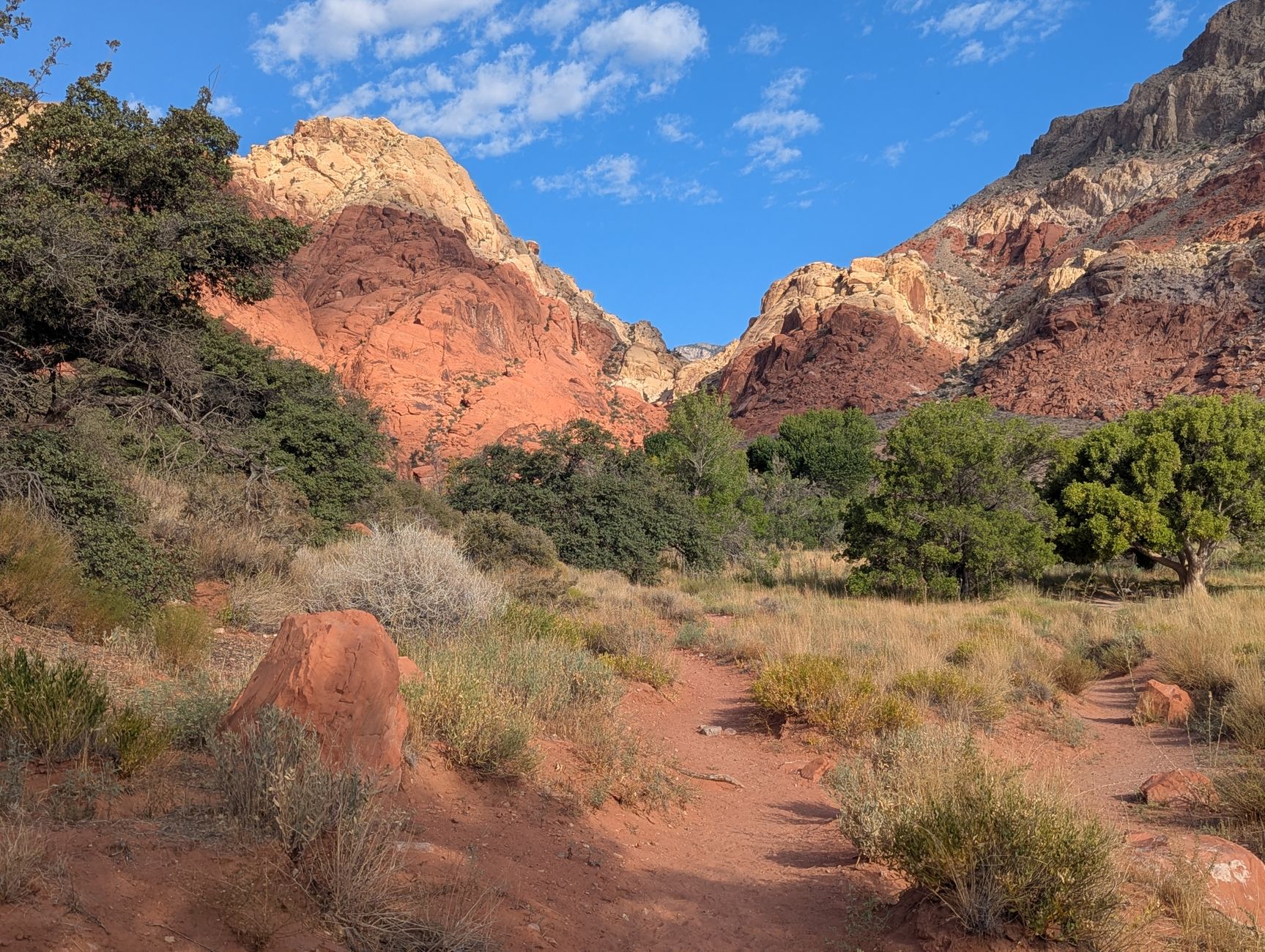Sandstone escarpment at Red Rock Canyon National Conservation Area