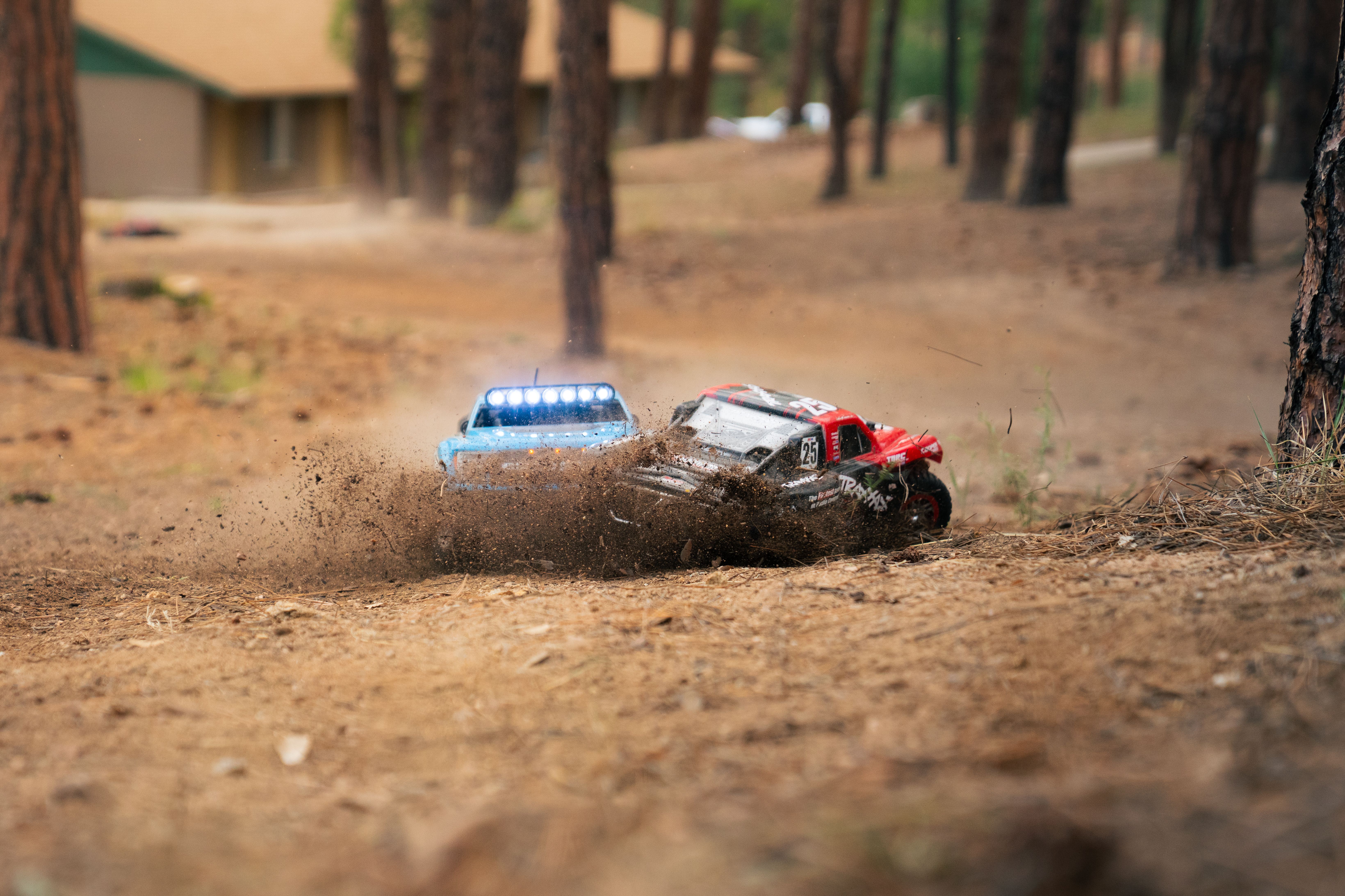Remote Control Cars Racing on Forest Terrain · Free Stock Photo