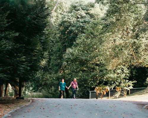 Free A senior couple enjoying a walk in a vibrant green park, surrounded by nature and trees. Stock Photo