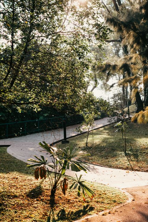Free A winding path through lush greenery in a sunlit park, capturing nature's tranquility. Stock Photo
