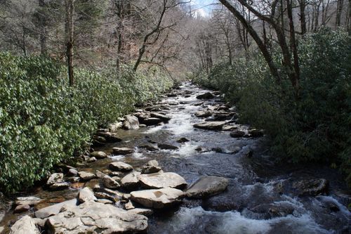 Free A peaceful forest stream winding through rocky terrain in the United States, perfect for nature enthusiasts. Stock Photo