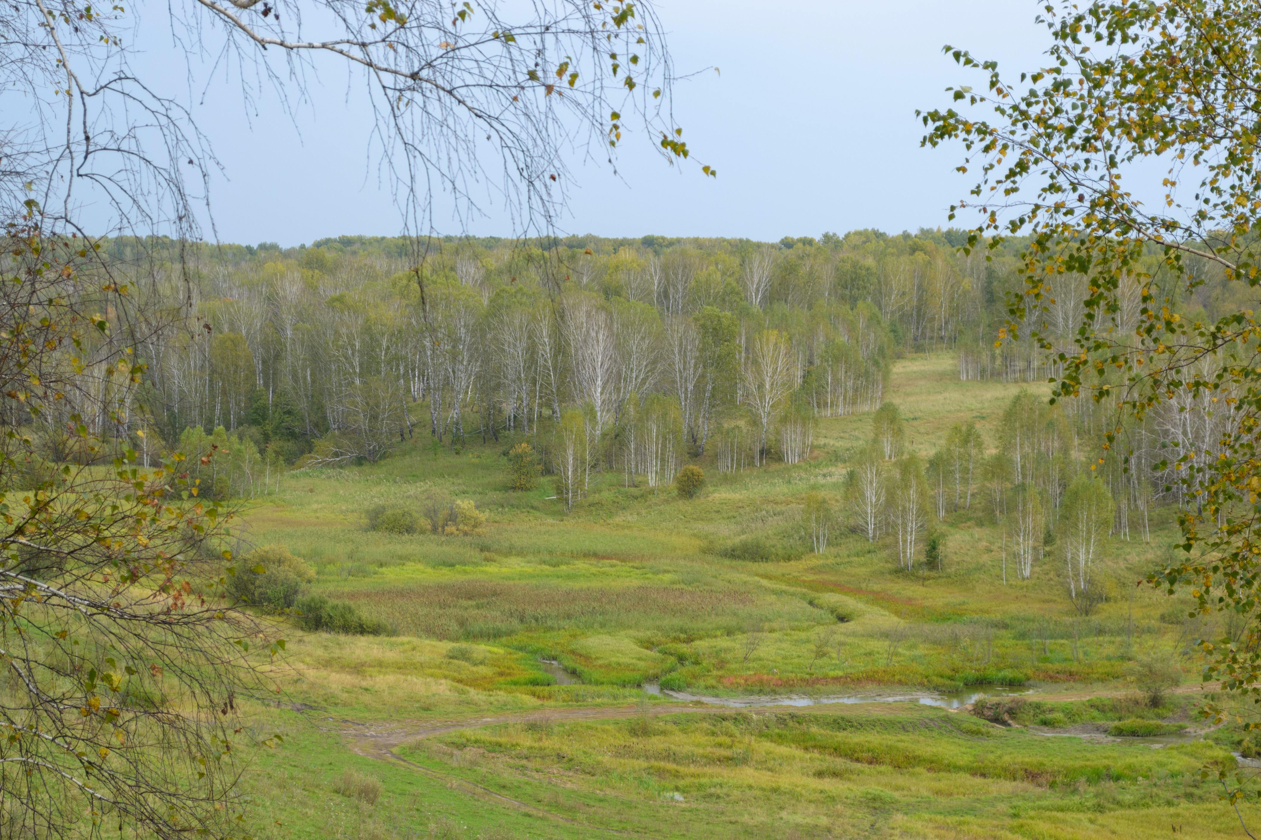 Ableton Live テンプレート 無料