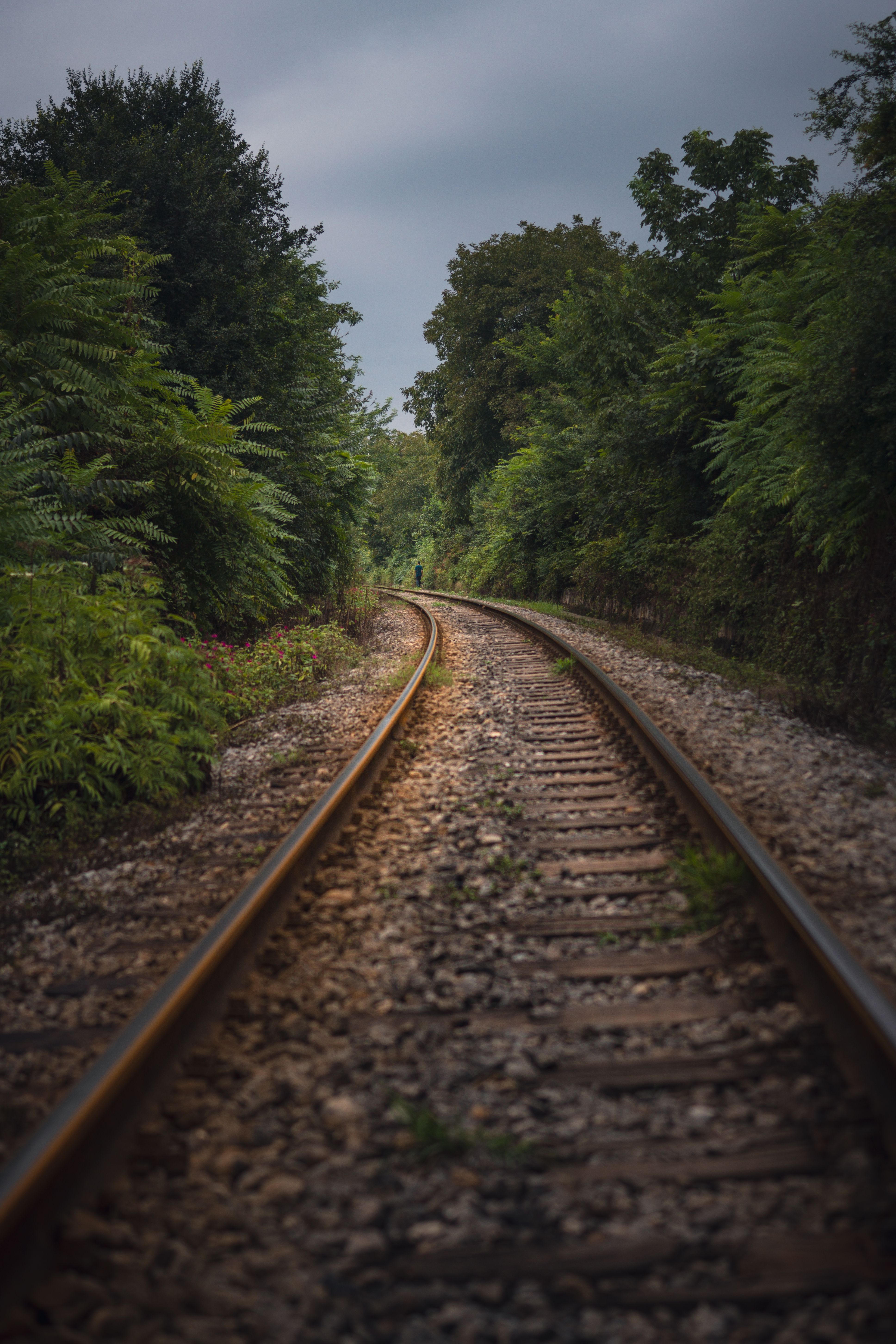 Moody and mysterious railway track winding through a dense forest in autumn.. moody, mysterious, railway