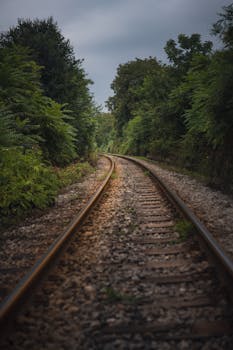 Moody and mysterious railway track winding through a dense forest in autumn.